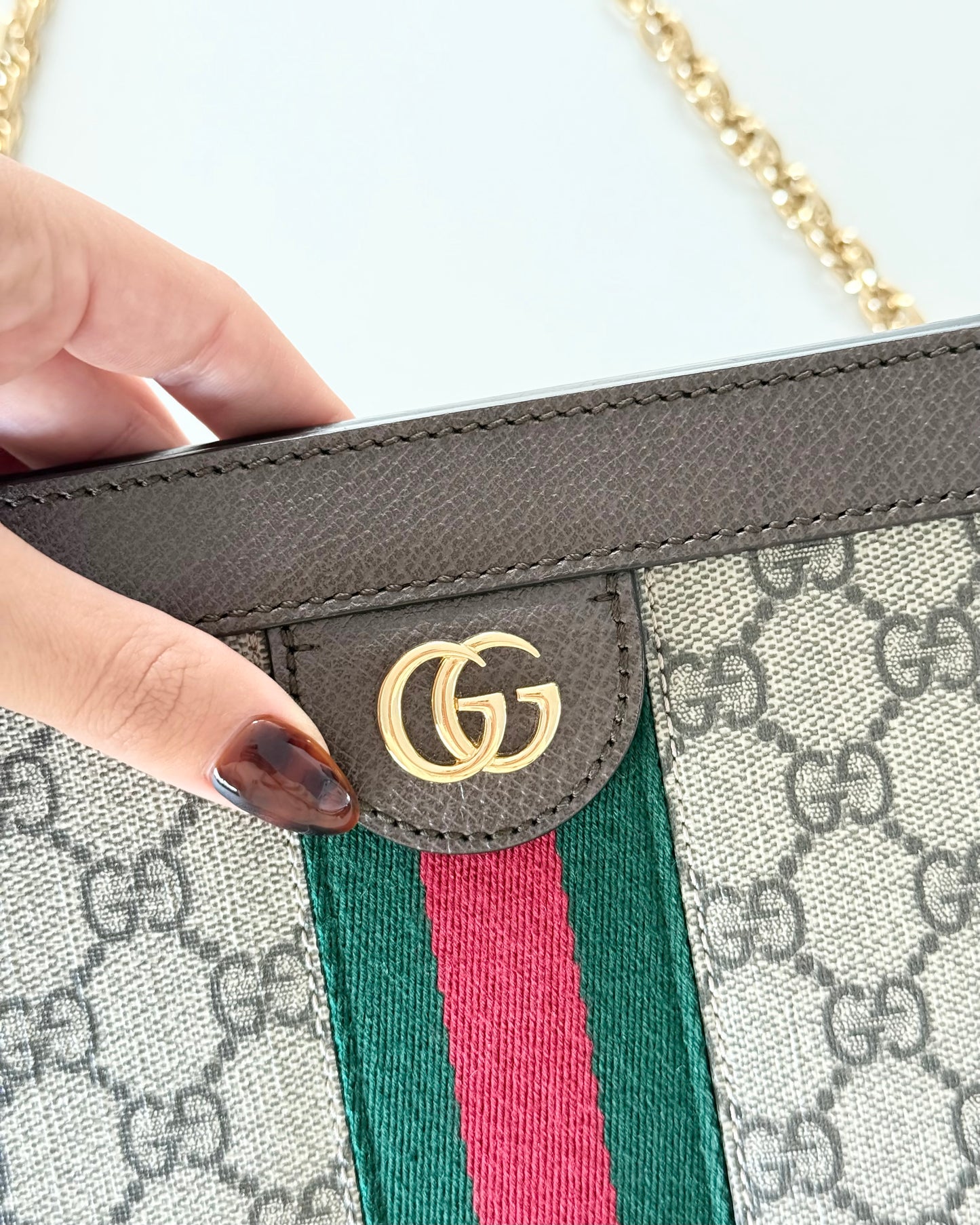 Gucci Beige/Ebony Supreme Coated Canvas Vintage Web Ophidia