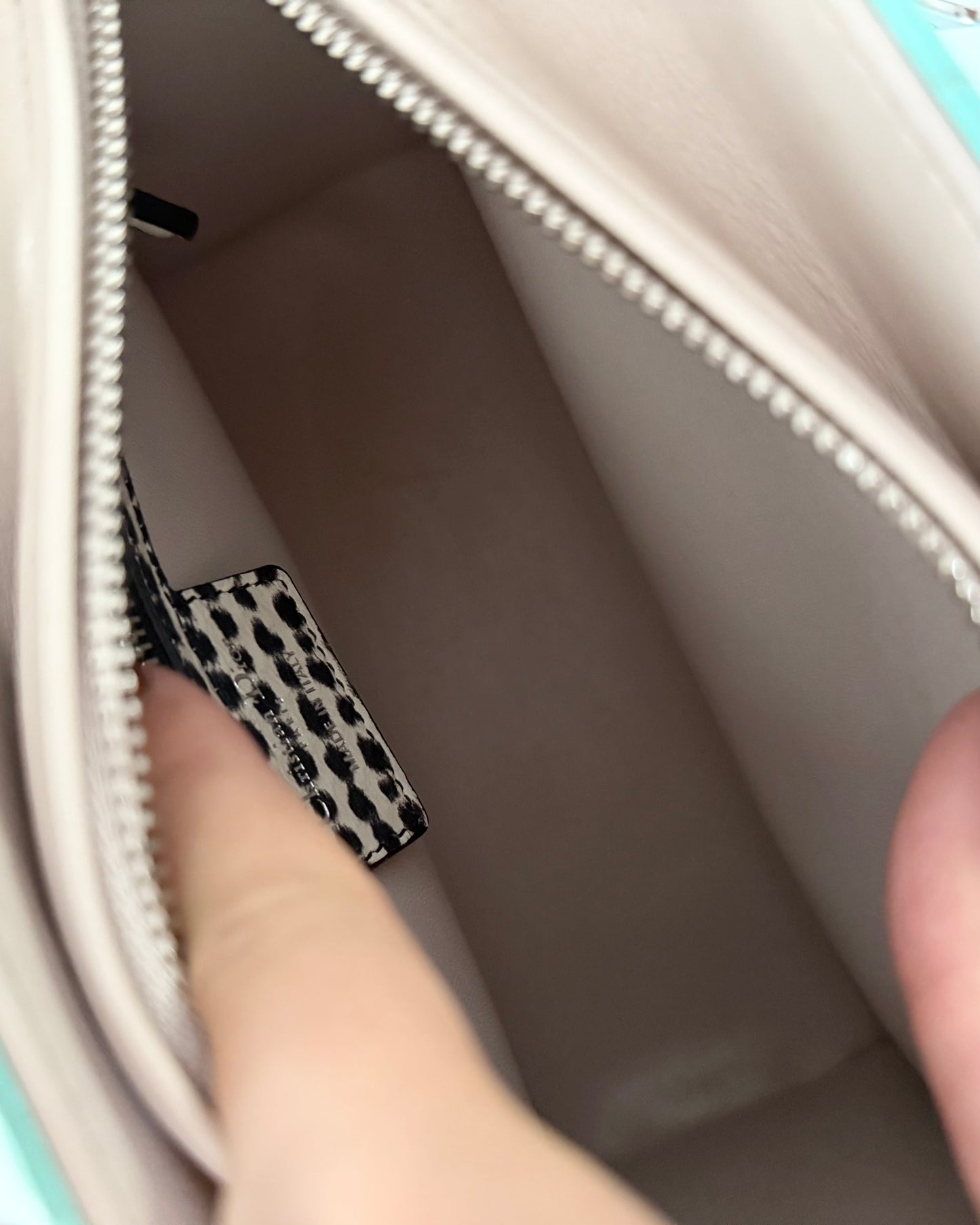 Christian Dior Turquoise and Spotted Python Medium Lady Dior