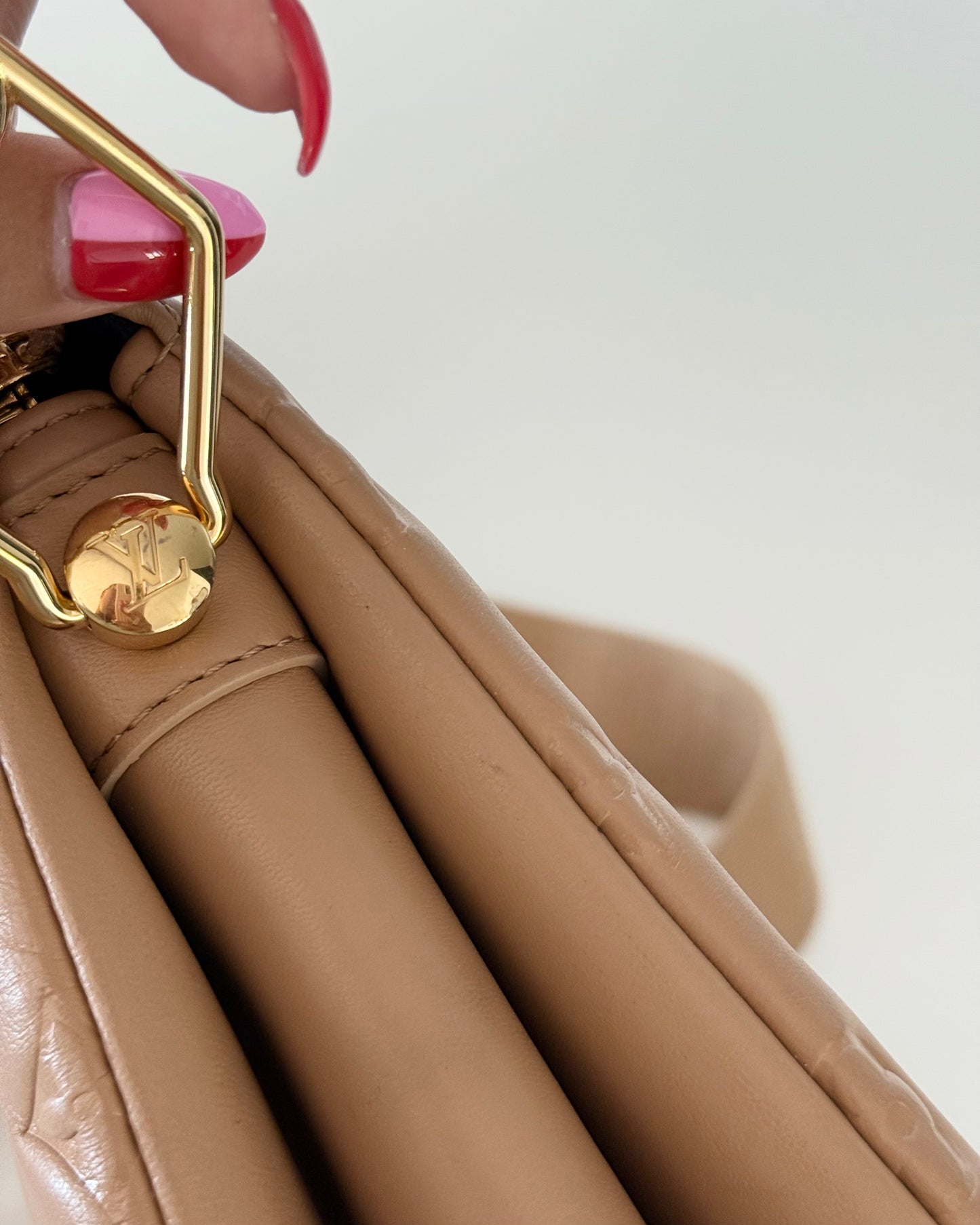 Louis Vuitton Carmel Coussin PM