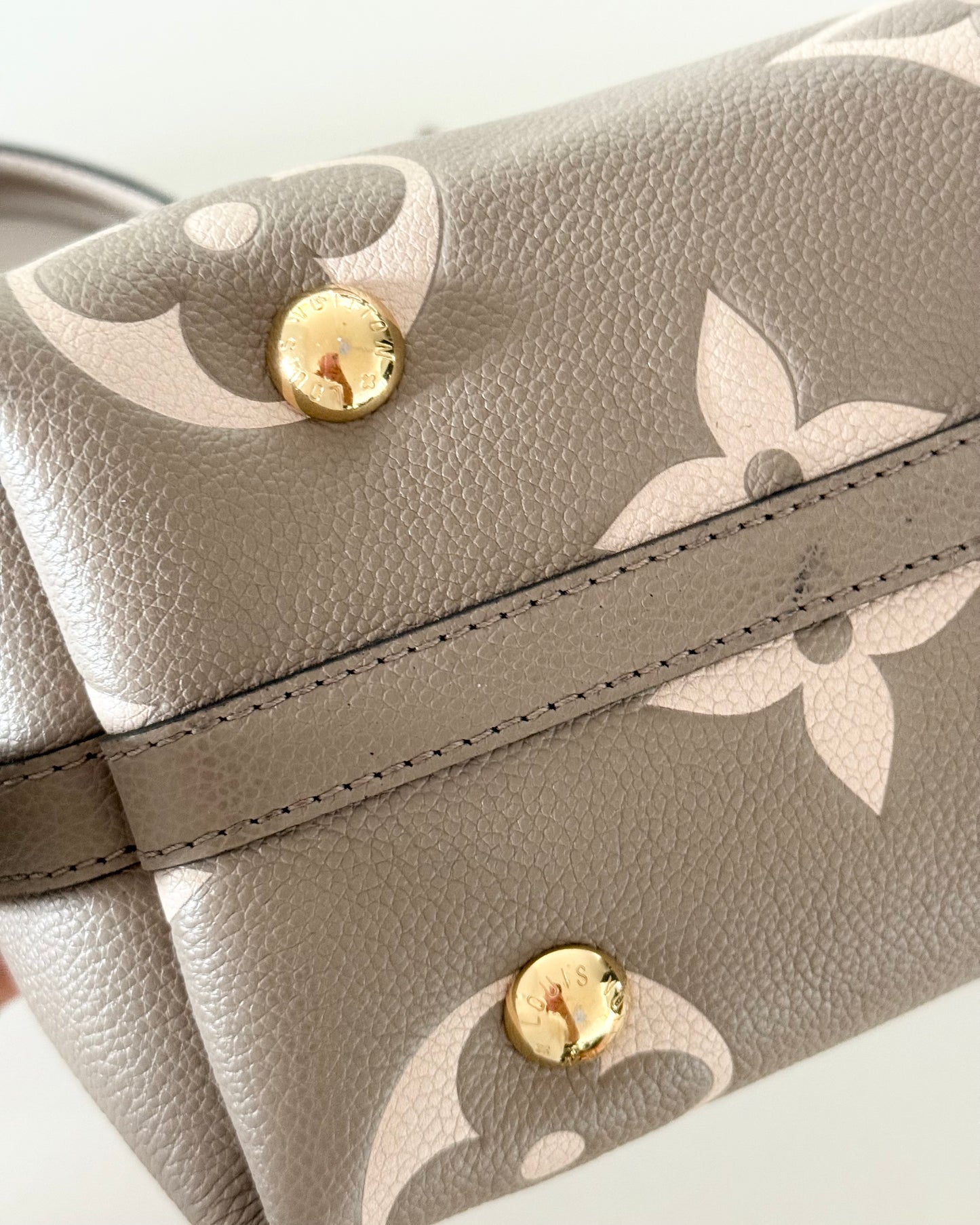 Louis Vuitton Bi-Color Carryall PM