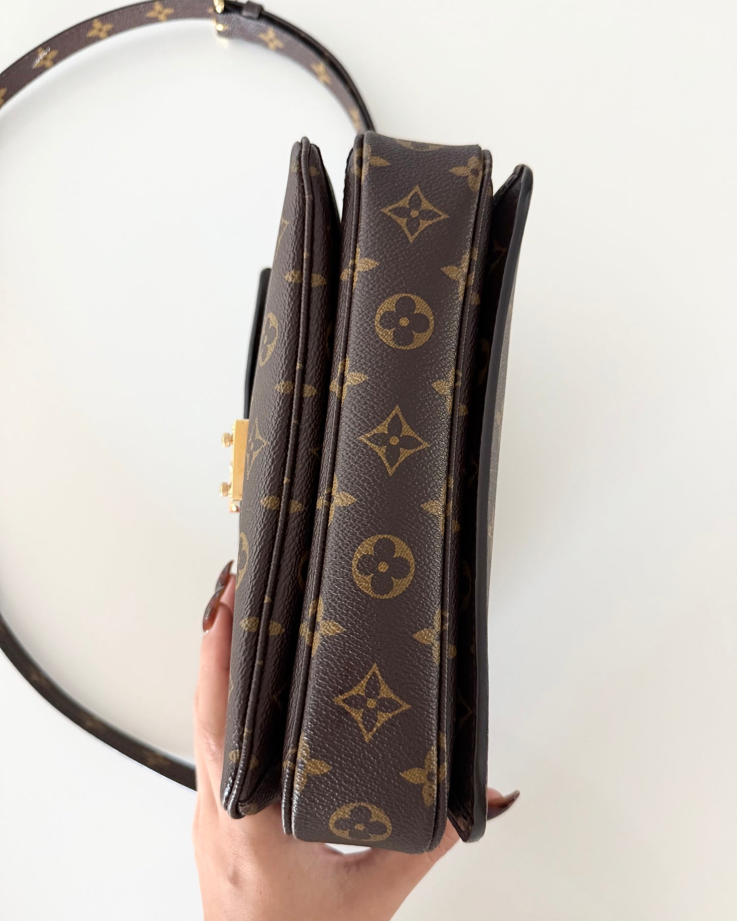 Louis Vuitton Monogram Pochette Metis