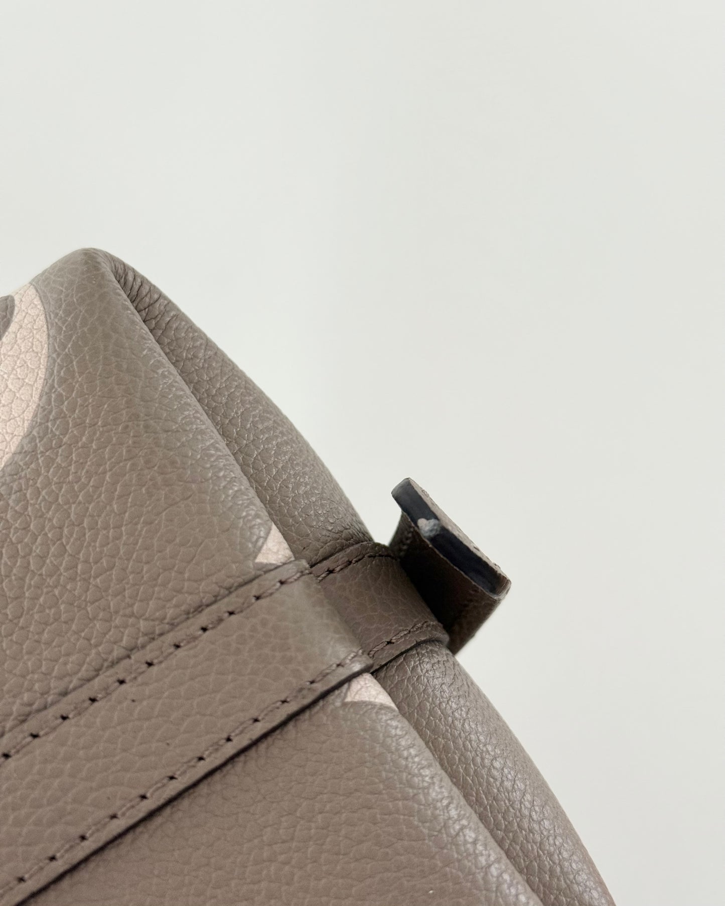Louis Vuitton Bi-Color Carryall PM