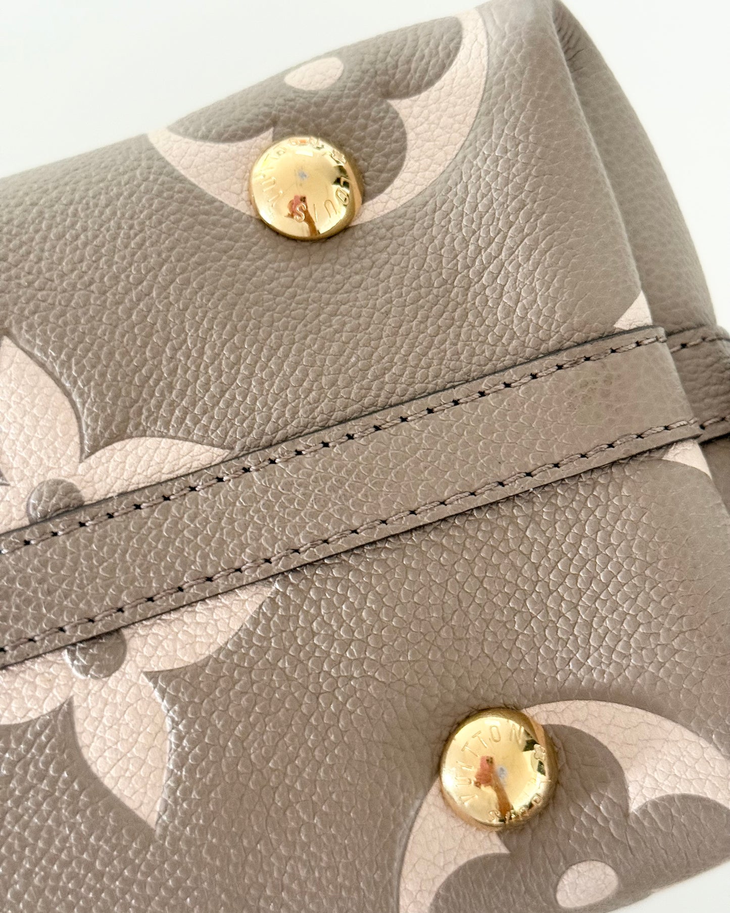 Louis Vuitton Bi-Color Carryall PM