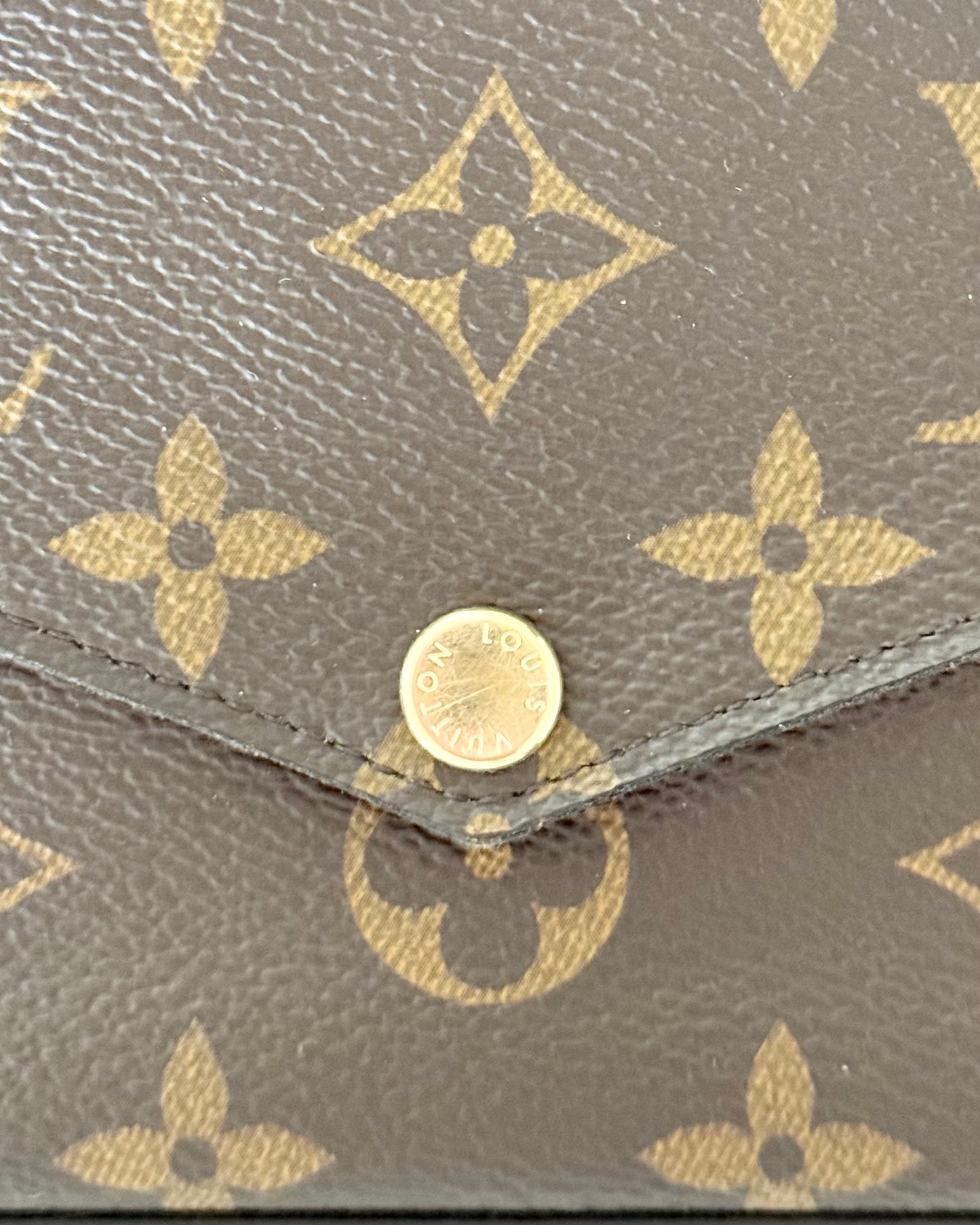 Louis Vuitton Monogram Canvas Pochette Felicie Bag