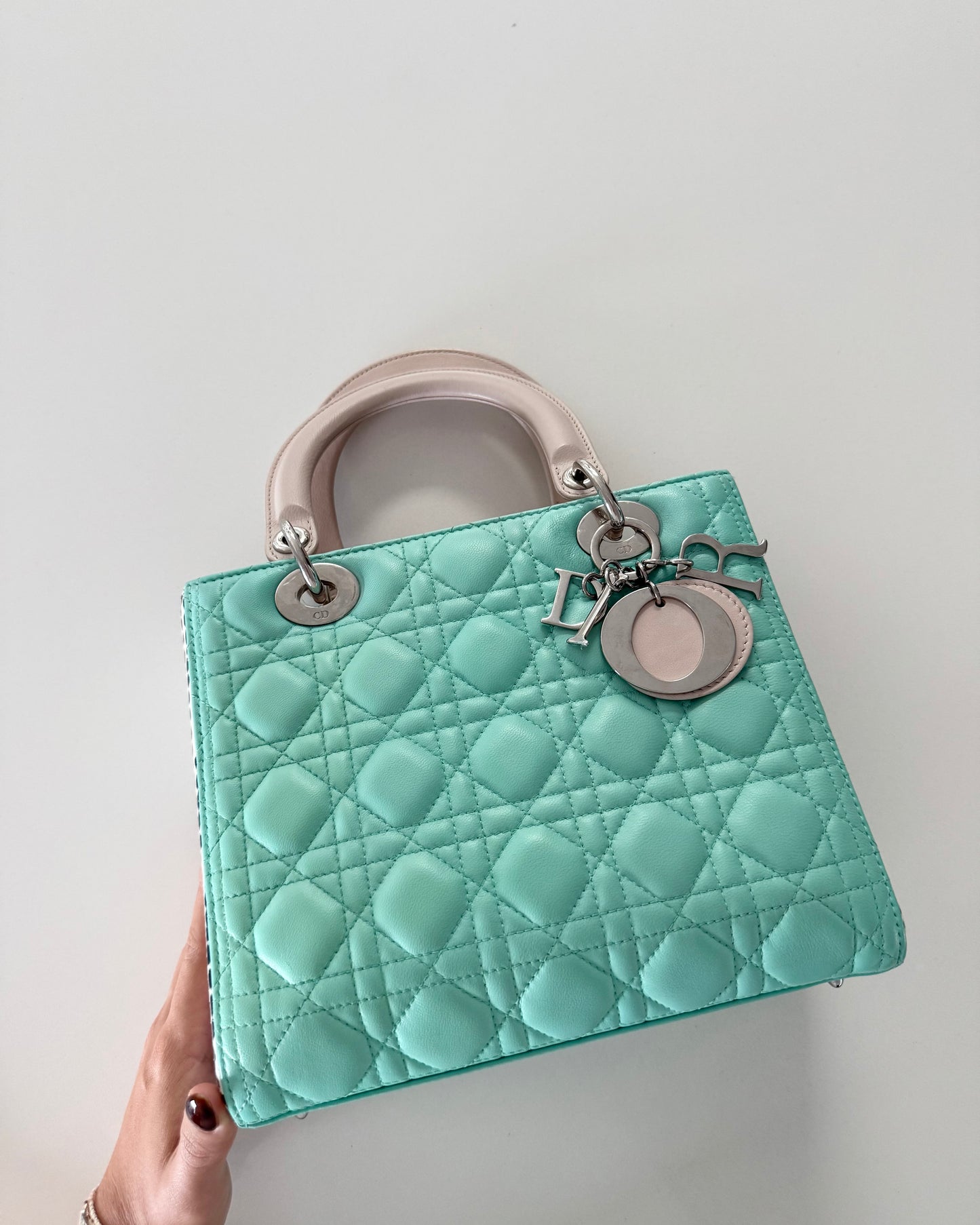Christian Dior Turquoise and Spotted Python Medium Lady Dior