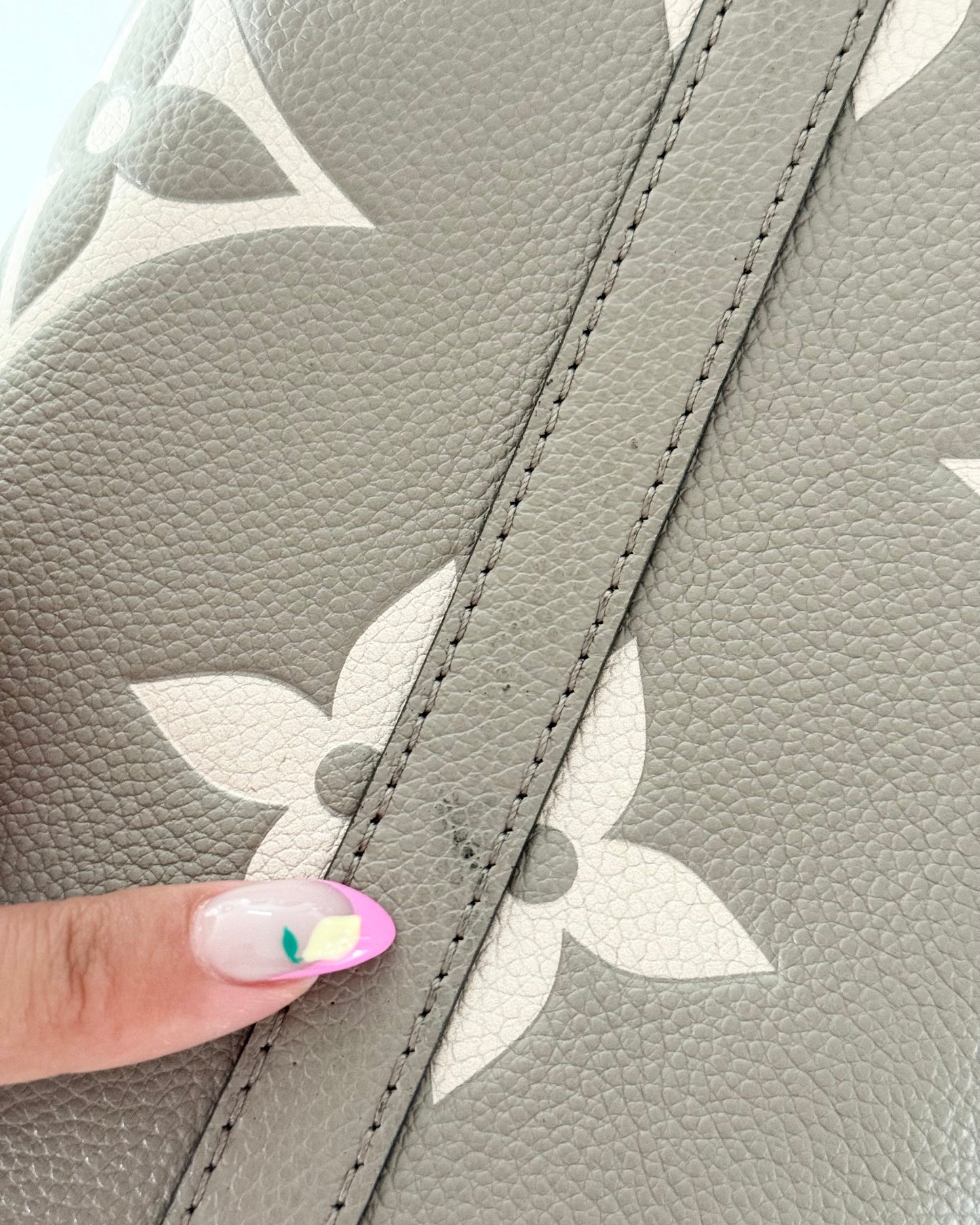Louis Vuitton Bi-Color Carryall PM