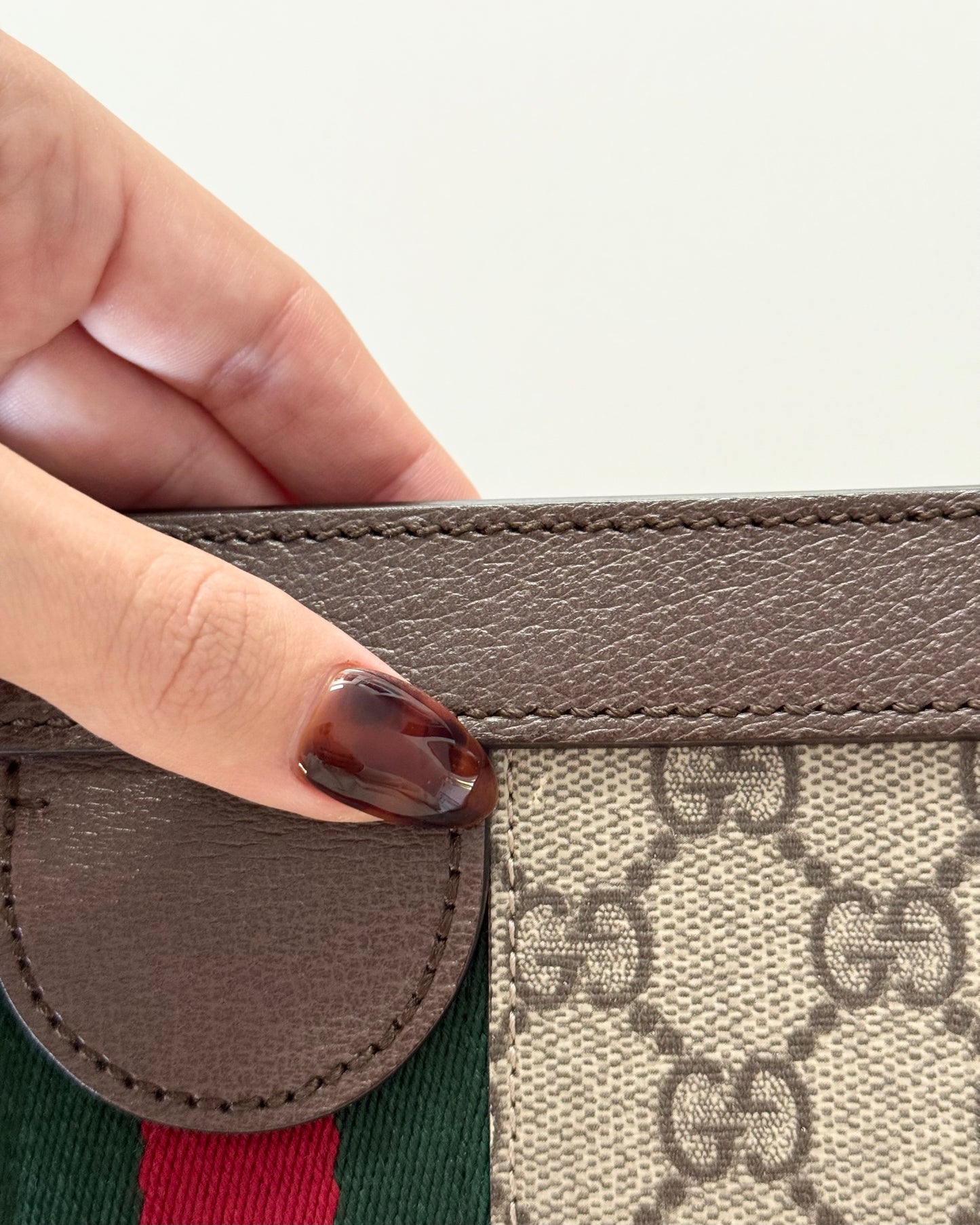 Gucci Beige/Ebony Supreme Coated Canvas Vintage Web Ophidia