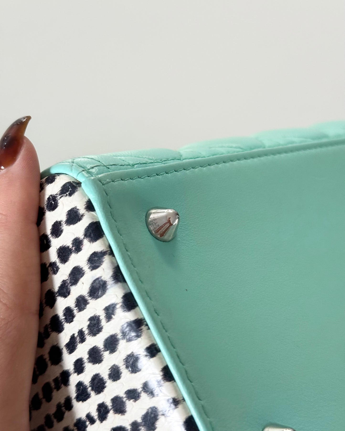 Christian Dior Turquoise and Spotted Python Medium Lady Dior