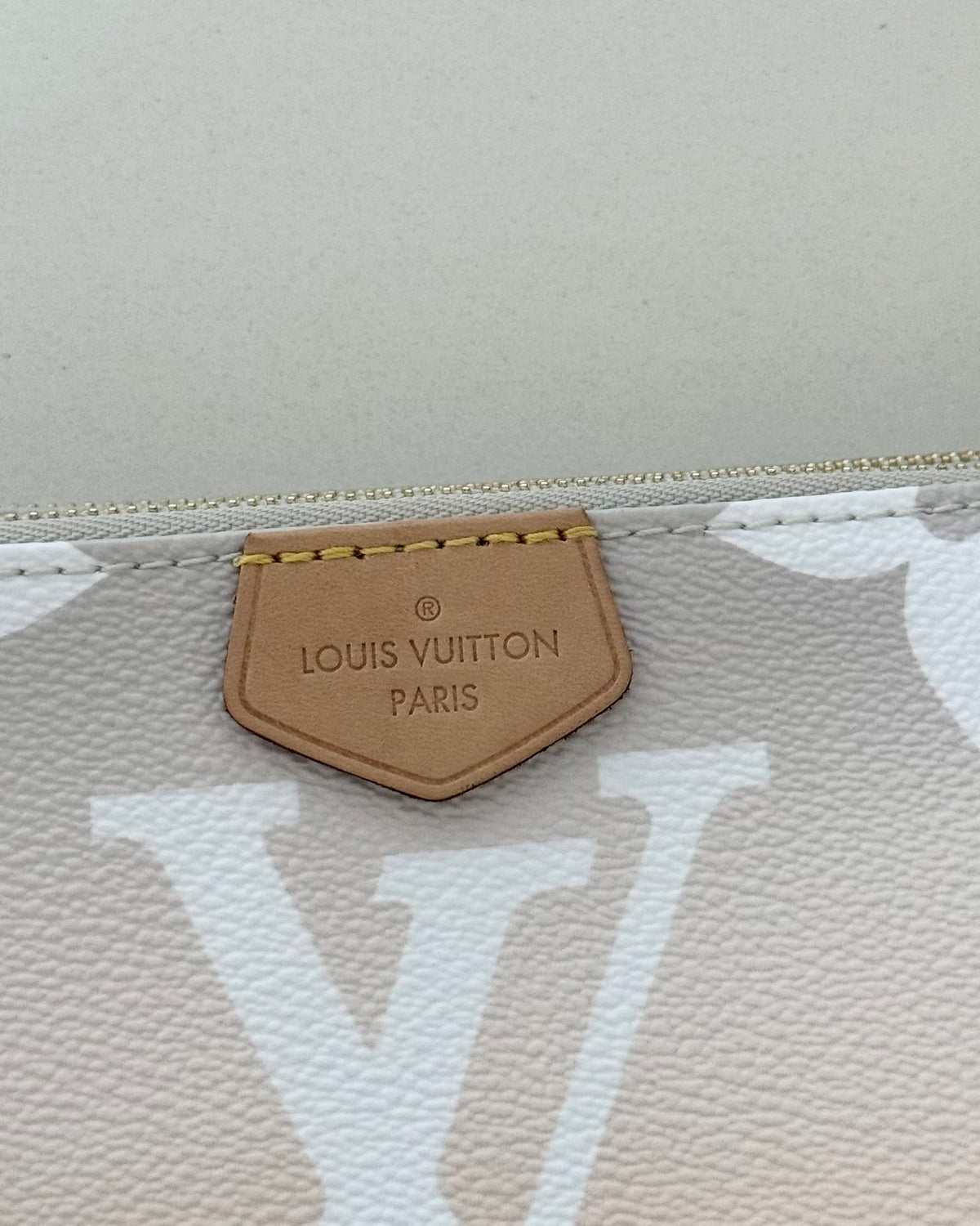 Louis Vuitton Limited Edition By the Pool Multi Accessories Pochette