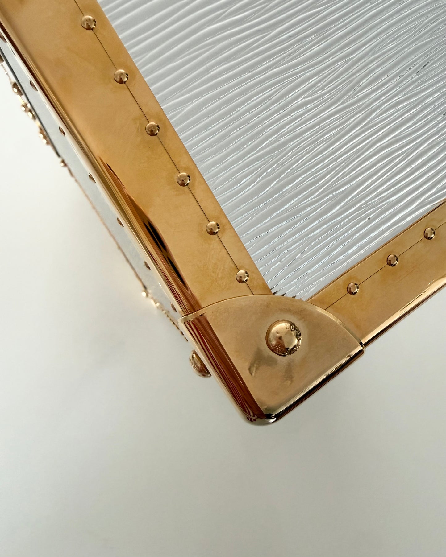 Louis Vuitton RARE Silver Epi Leather and Gold Metal Boite Promenade Case from Fall 2025 Runway