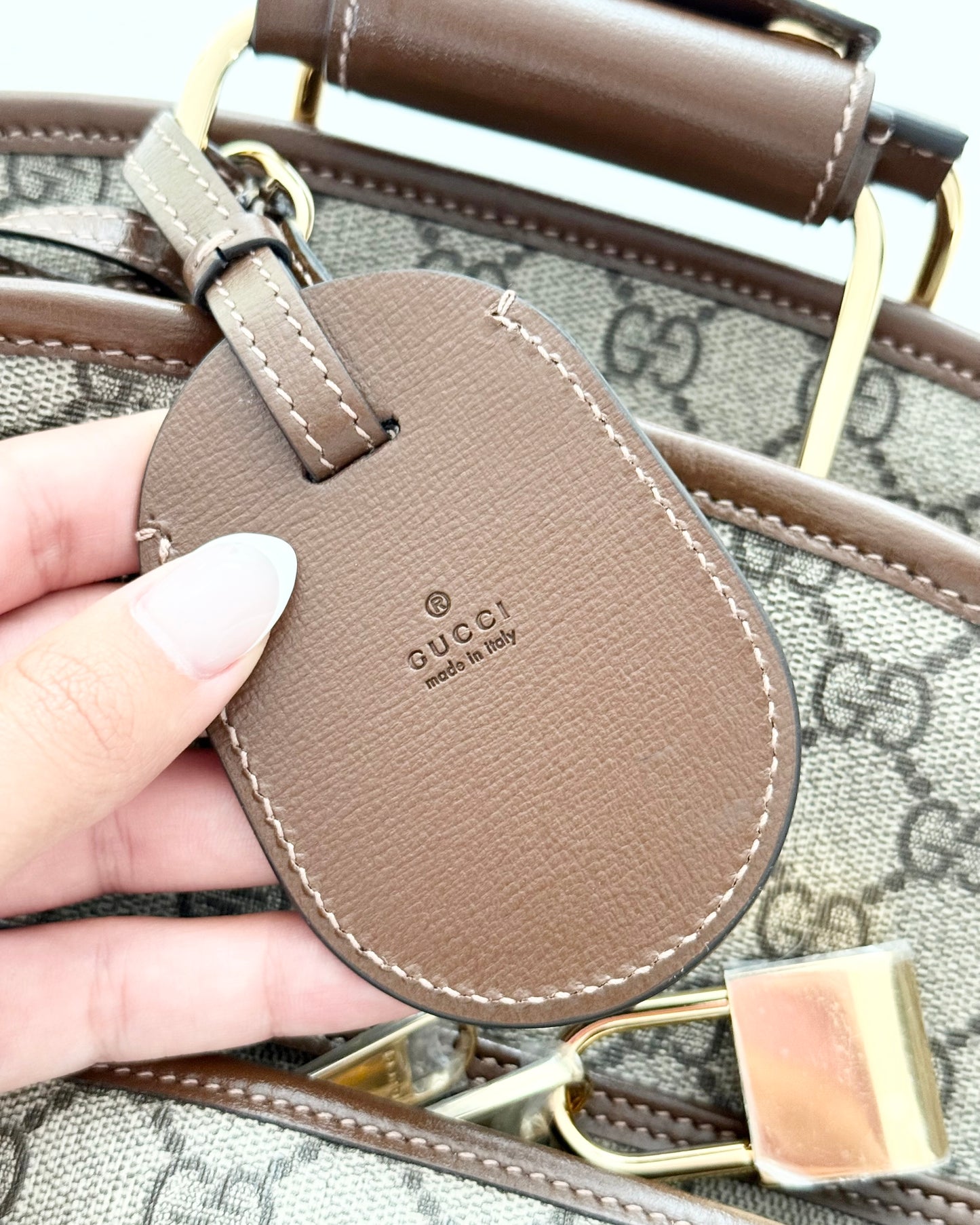 Gucci Beige/Brown Supreme Coated Canvas and Leather Garment Bag