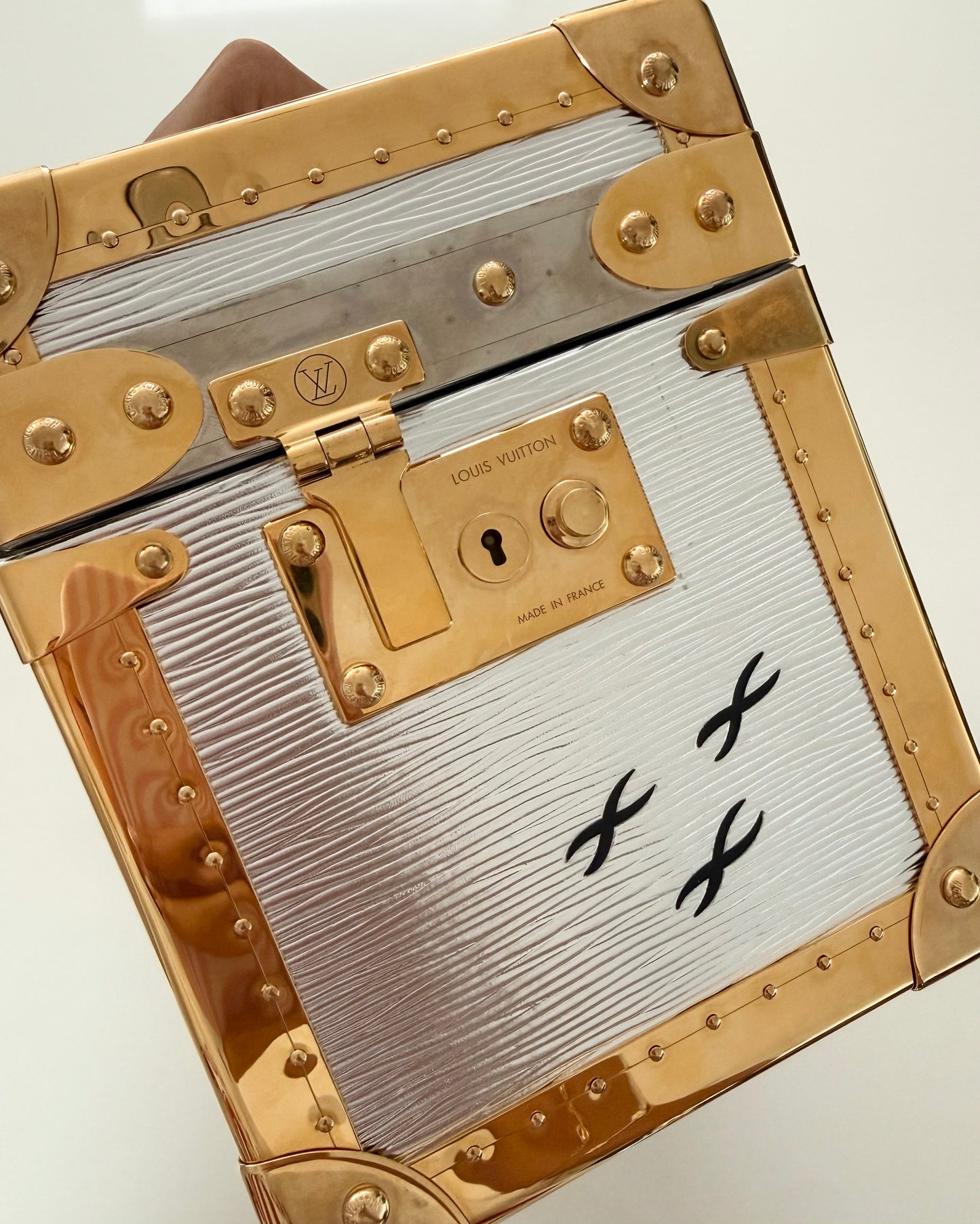 Louis Vuitton RARE Silver Epi Leather and Gold Metal Boite Promenade Case from Fall 2025 Runway
