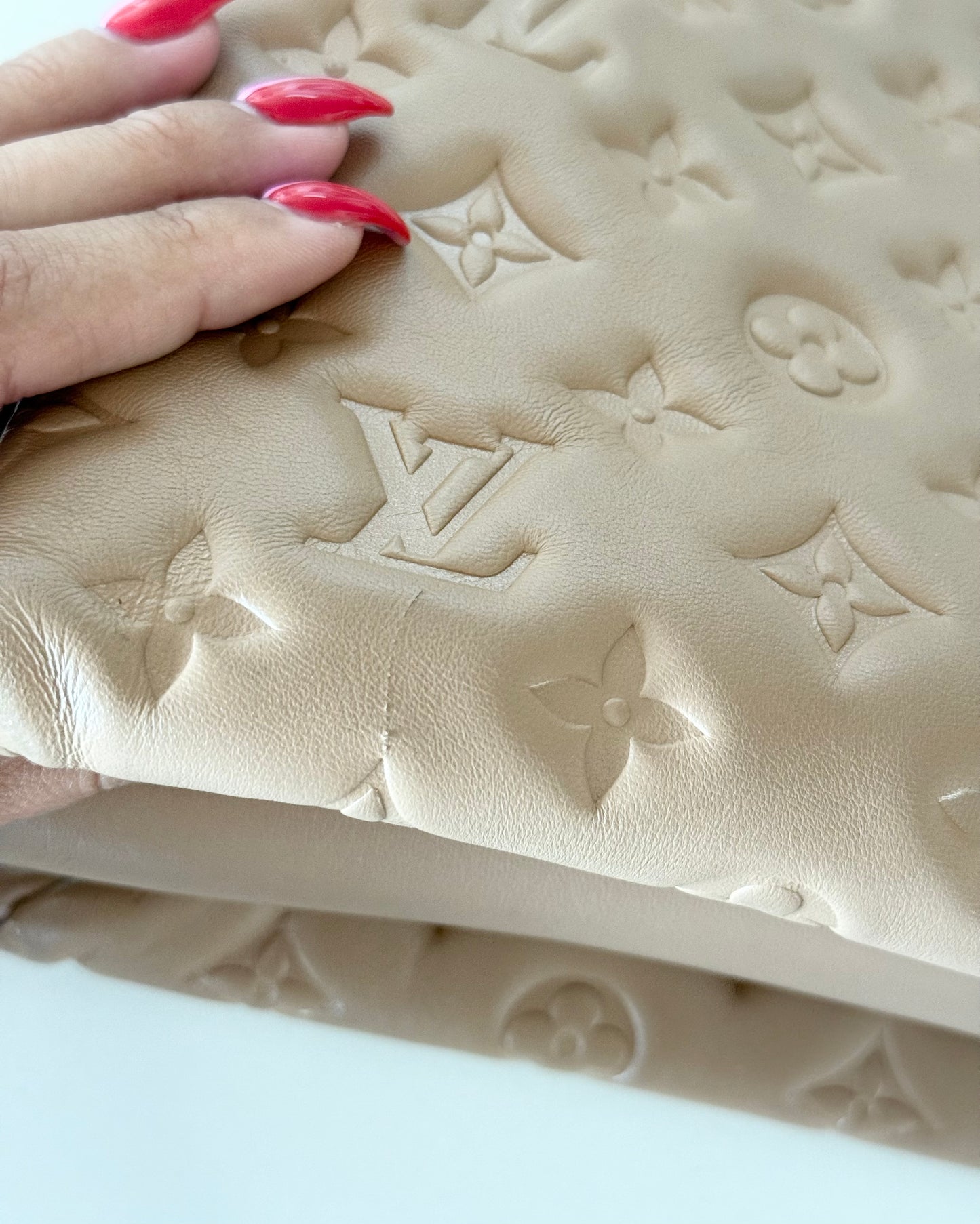 Louis Vuitton Carmel Coussin PM