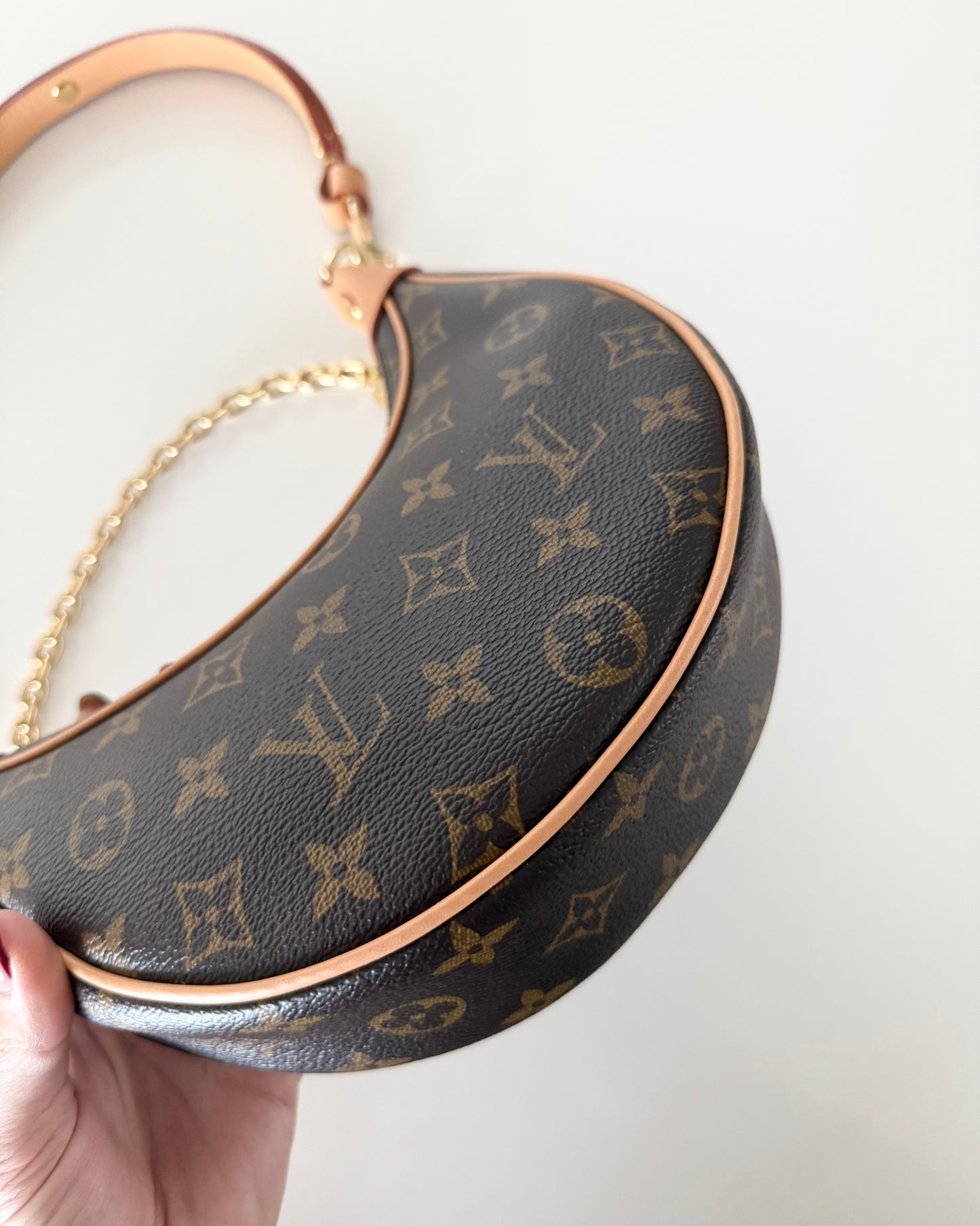 Louis Vuitton Monogram Loop Bag