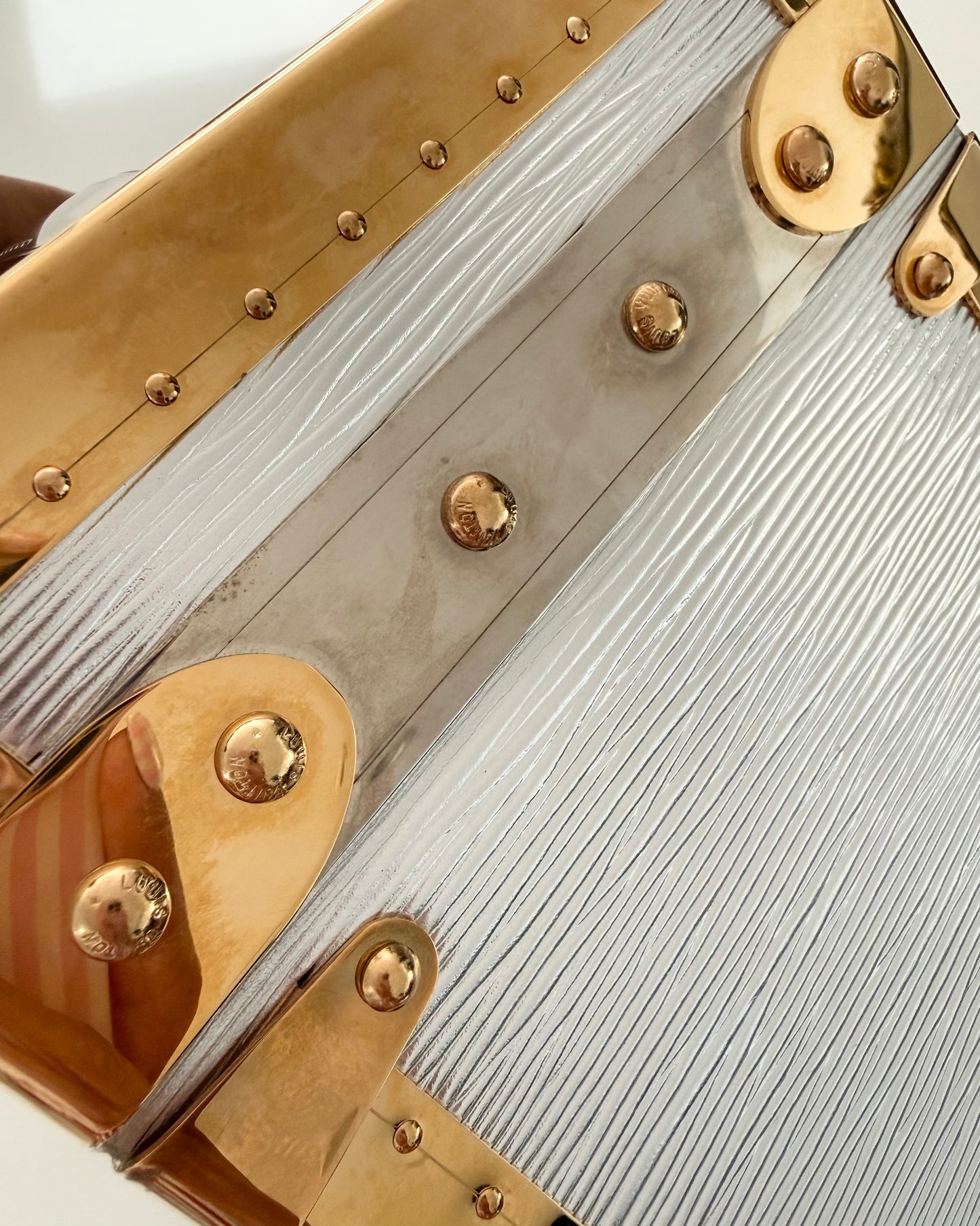 Louis Vuitton RARE Silver Epi Leather and Gold Metal Boite Promenade Case from Fall 2025 Runway