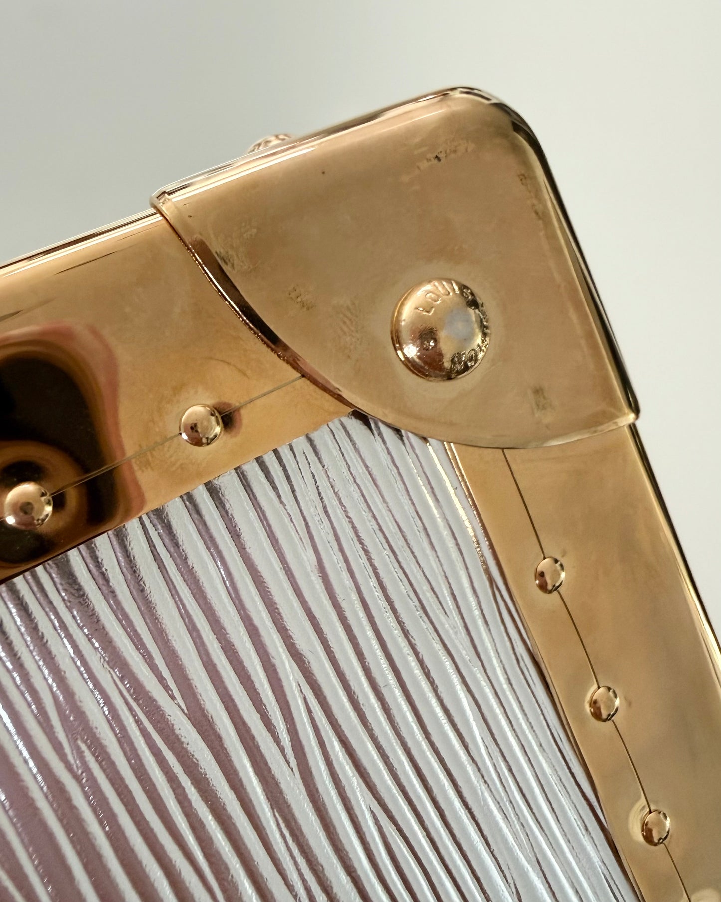 Louis Vuitton RARE Silver Epi Leather and Gold Metal Boite Promenade Case from Fall 2025 Runway