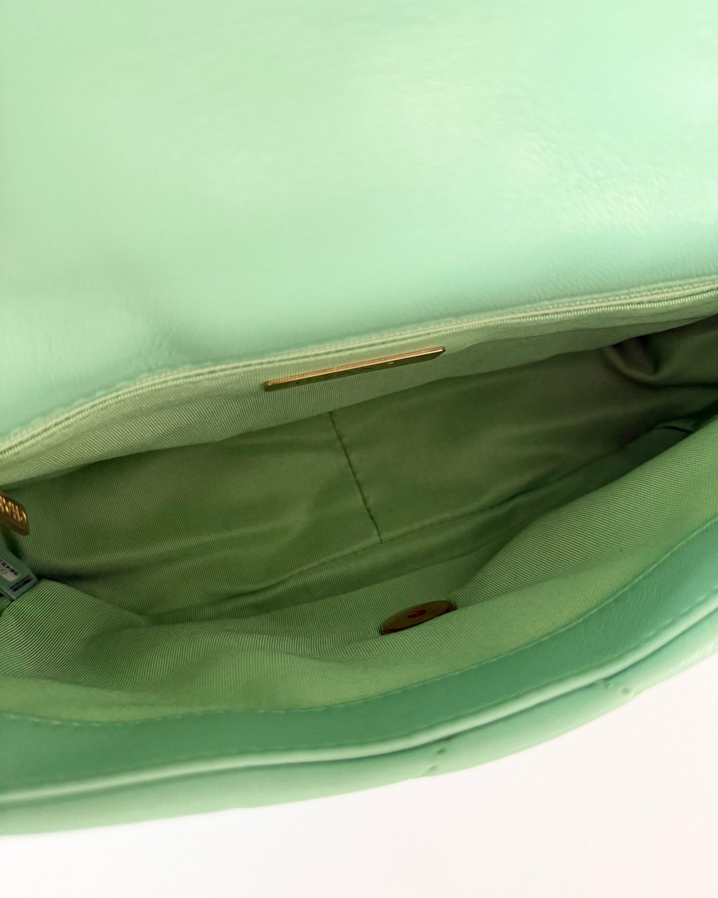 Chanel Mint Green Goatskin Small 19 Bag