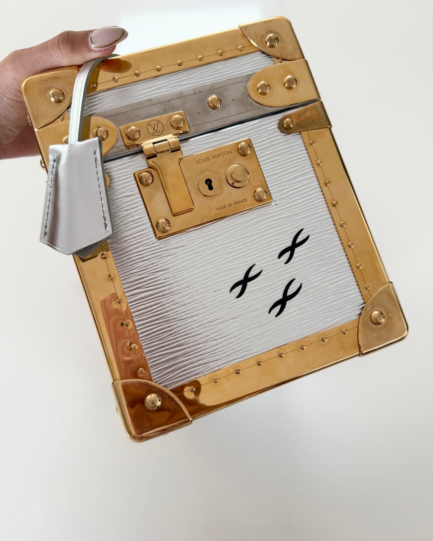 Louis Vuitton RARE Silver Epi Leather and Gold Metal Boite Promenade Case from Fall 2025 Runway