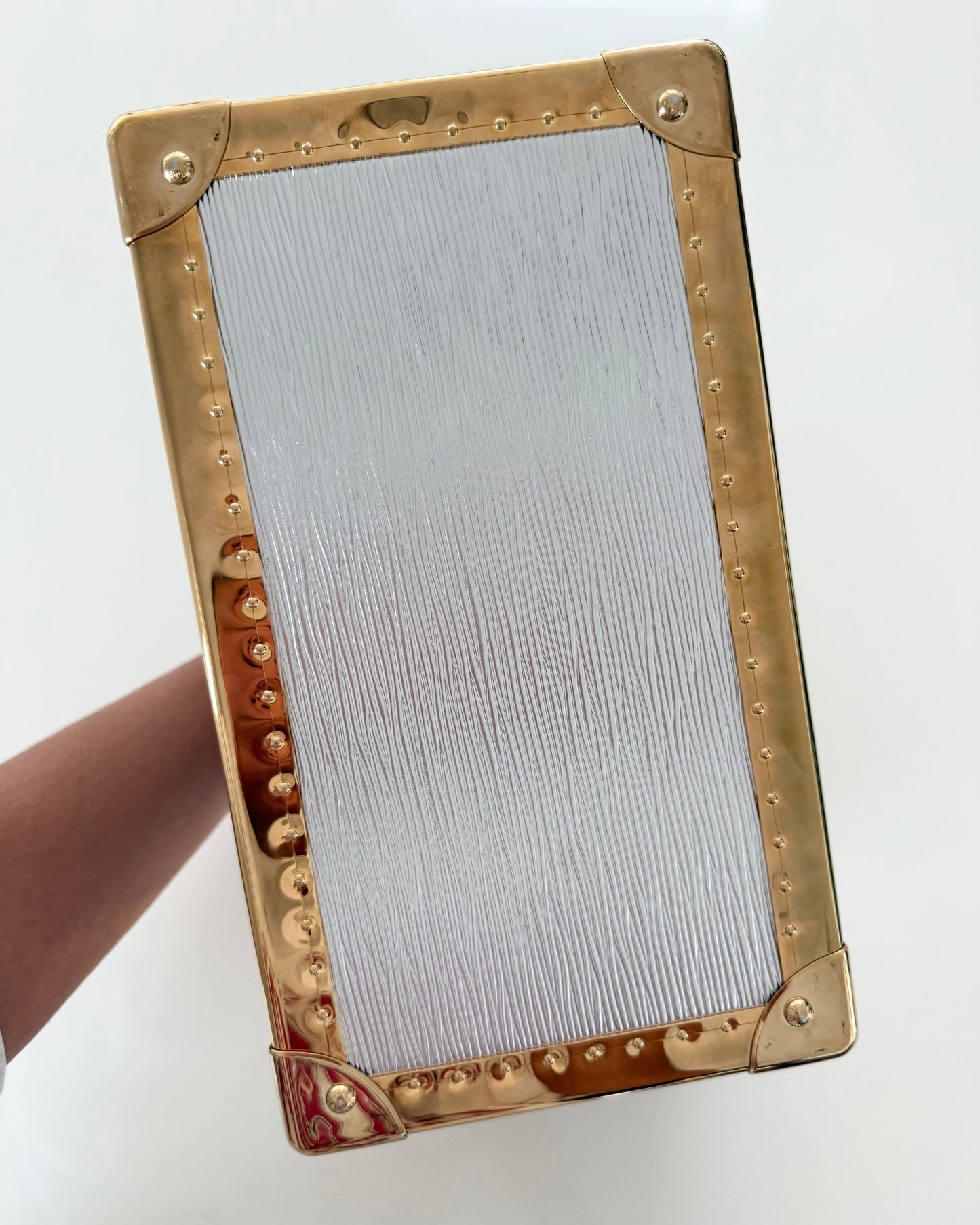 Louis Vuitton RARE Silver Epi Leather and Gold Metal Boite Promenade Case from Fall 2025 Runway