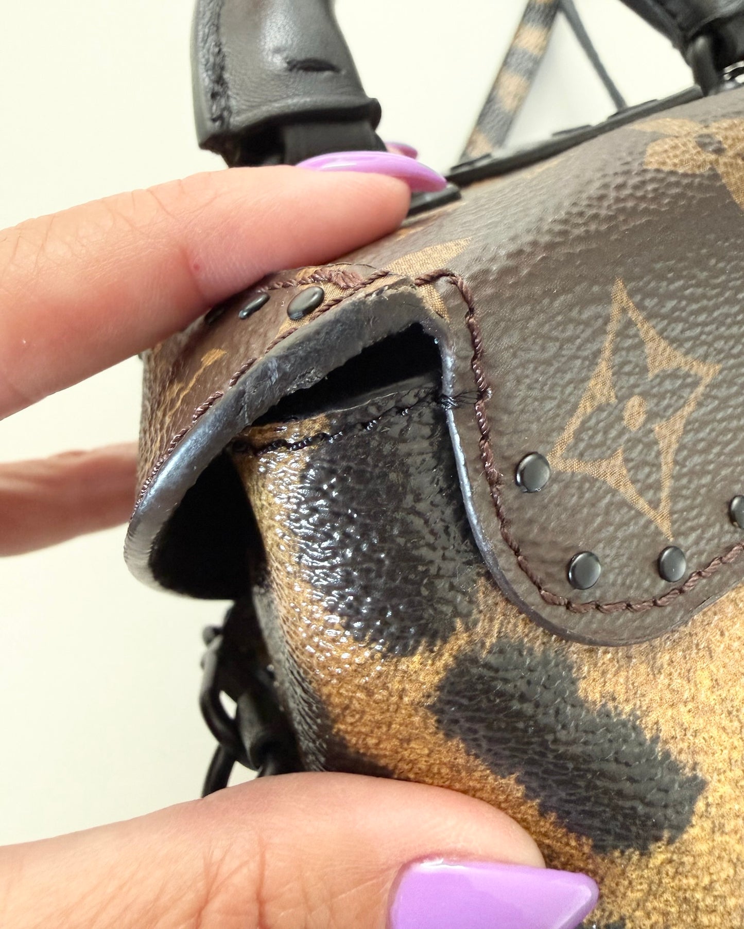 Louis Vuitton Monogram and Leopard Camera Box from 2016