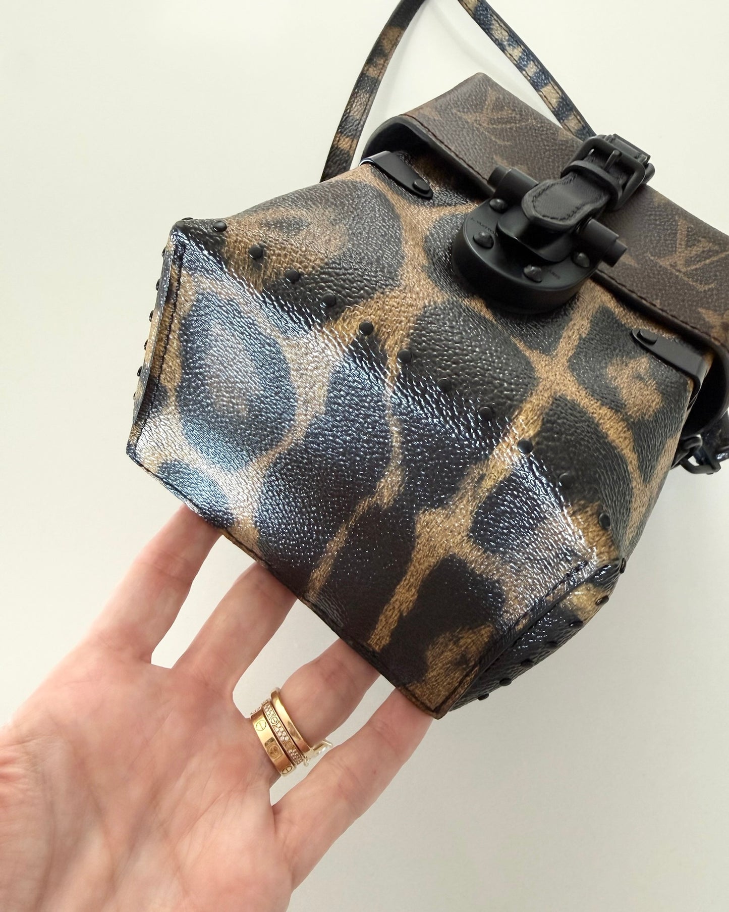 Louis Vuitton Monogram and Leopard Camera Box from 2016