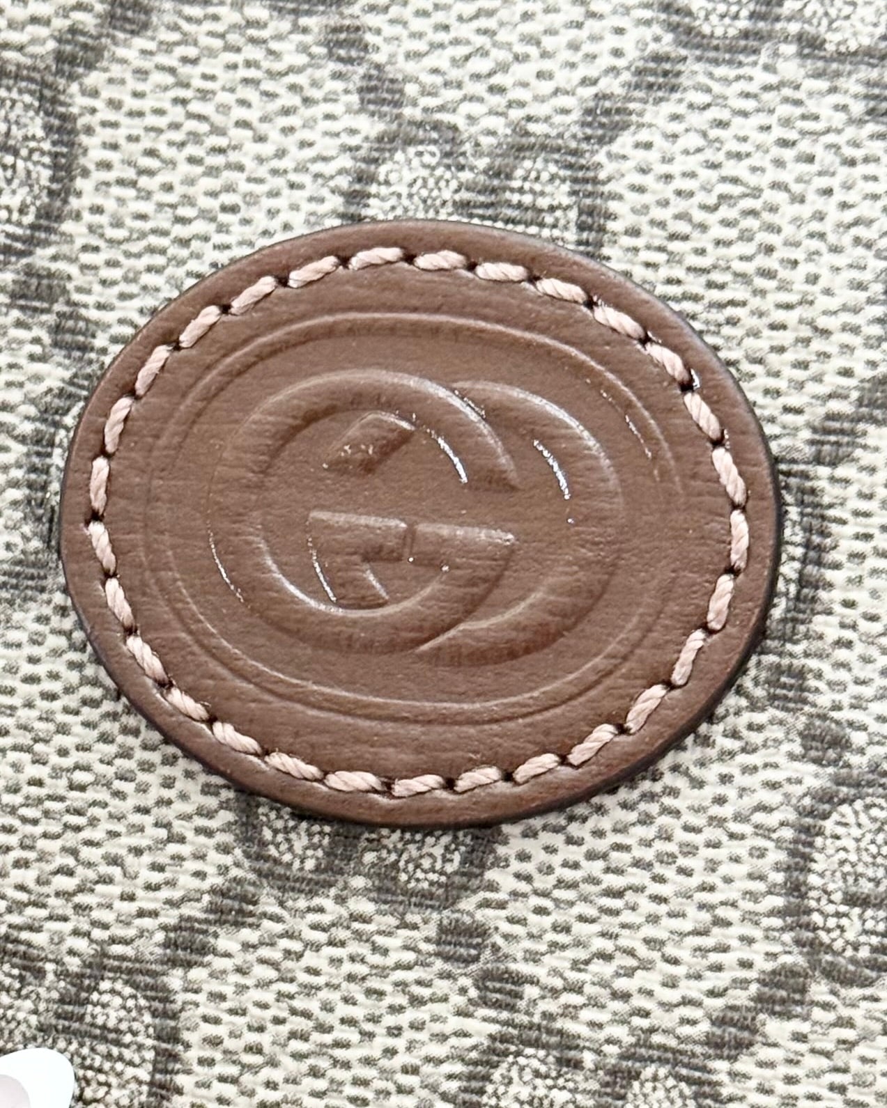 Gucci Beige/Brown Supreme Coated Canvas and Leather Garment Bag