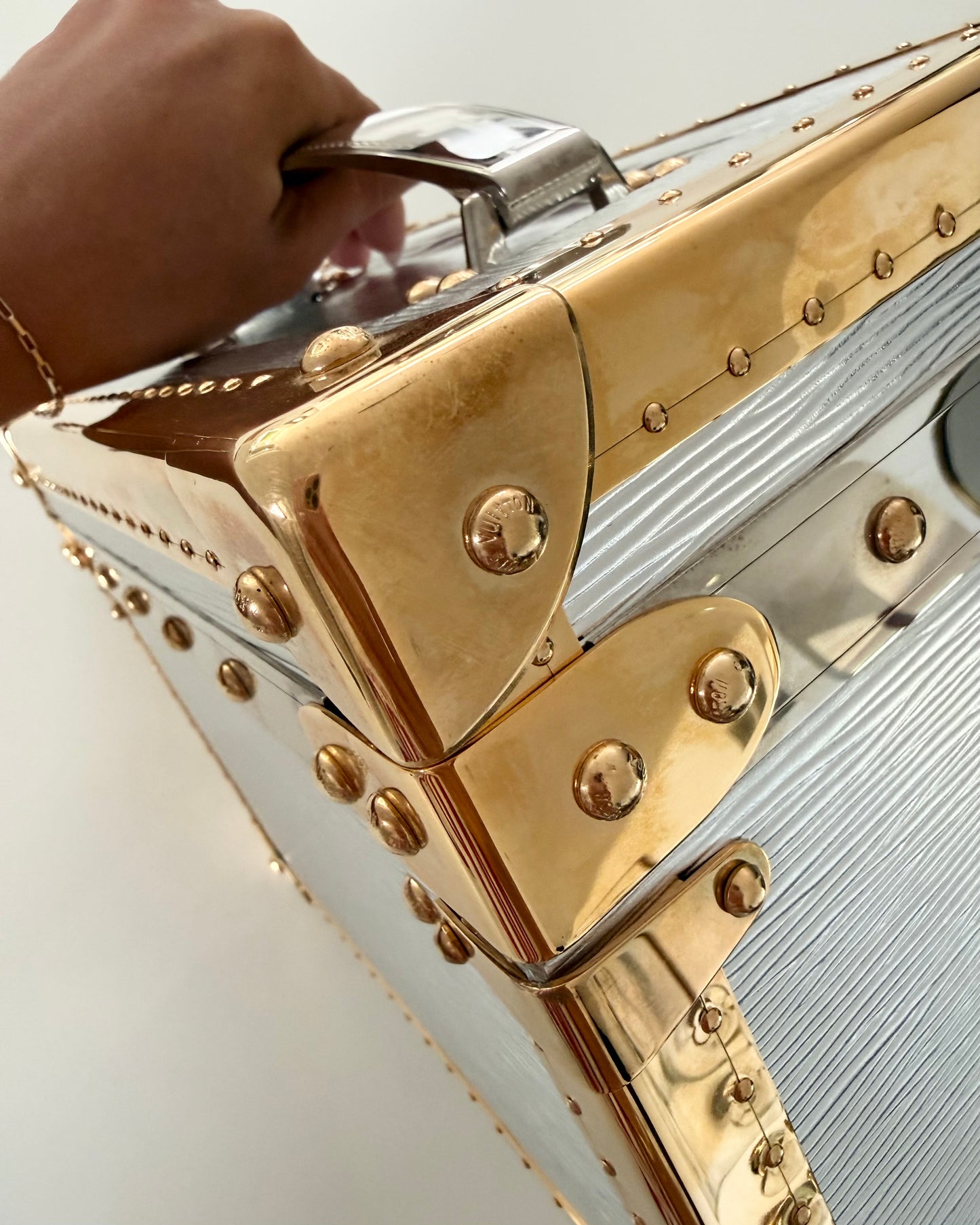 Louis Vuitton RARE Silver Epi Leather and Gold Metal Boite Promenade Case from Fall 2025 Runway