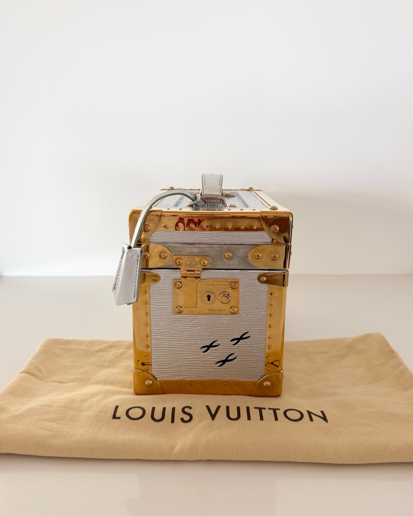 Louis Vuitton RARE Silver Epi Leather and Gold Metal Boite Promenade Case from Fall 2025 Runway