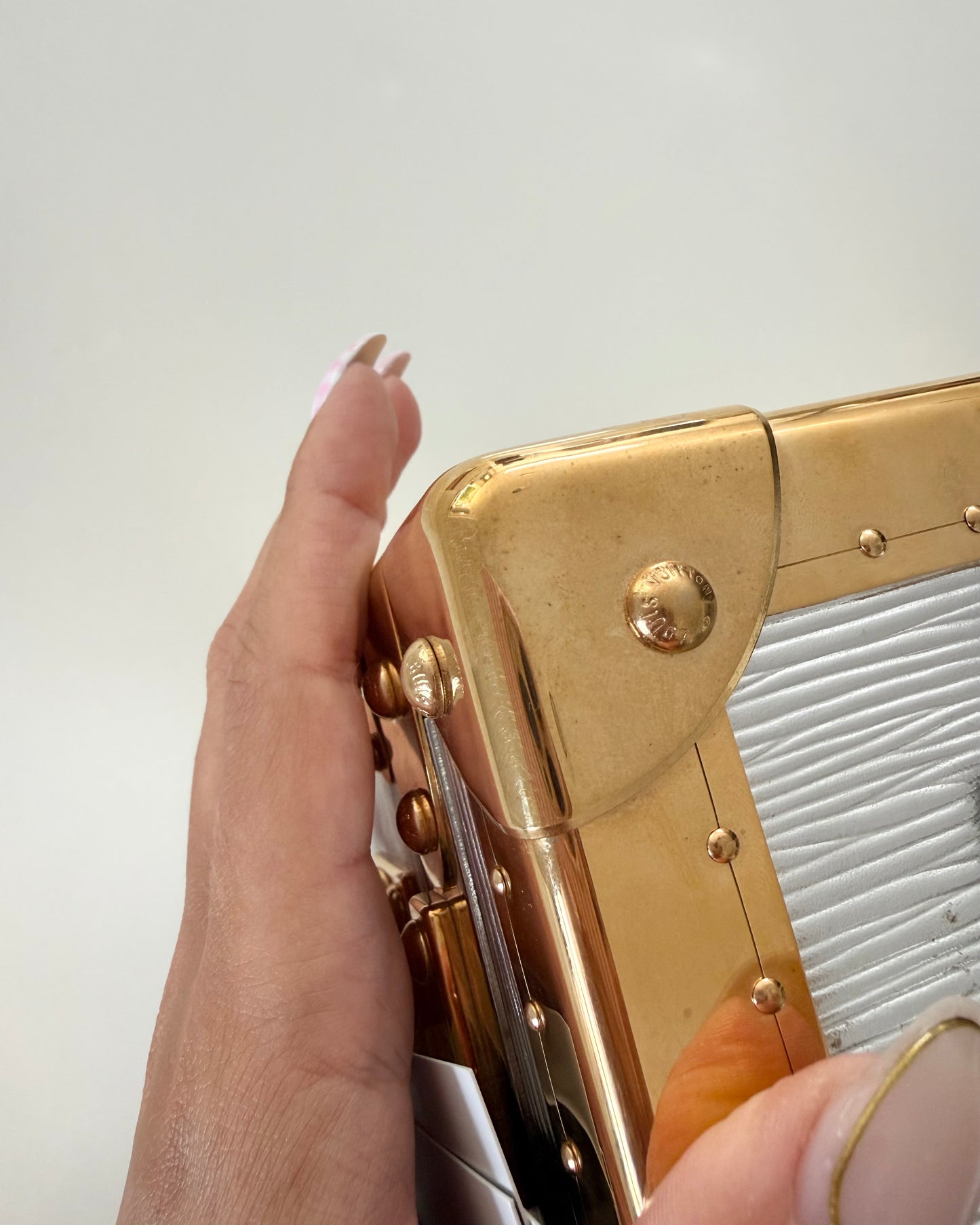 Louis Vuitton RARE Silver Epi Leather and Gold Metal Boite Promenade Case from Fall 2025 Runway