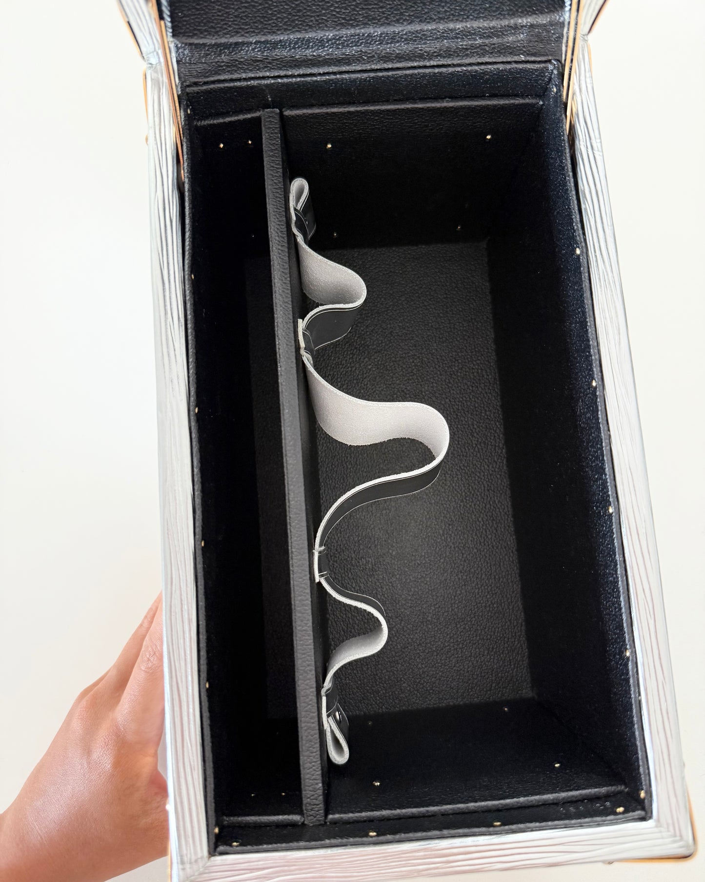 Louis Vuitton RARE Silver Epi Leather and Gold Metal Boite Promenade Case from Fall 2025 Runway