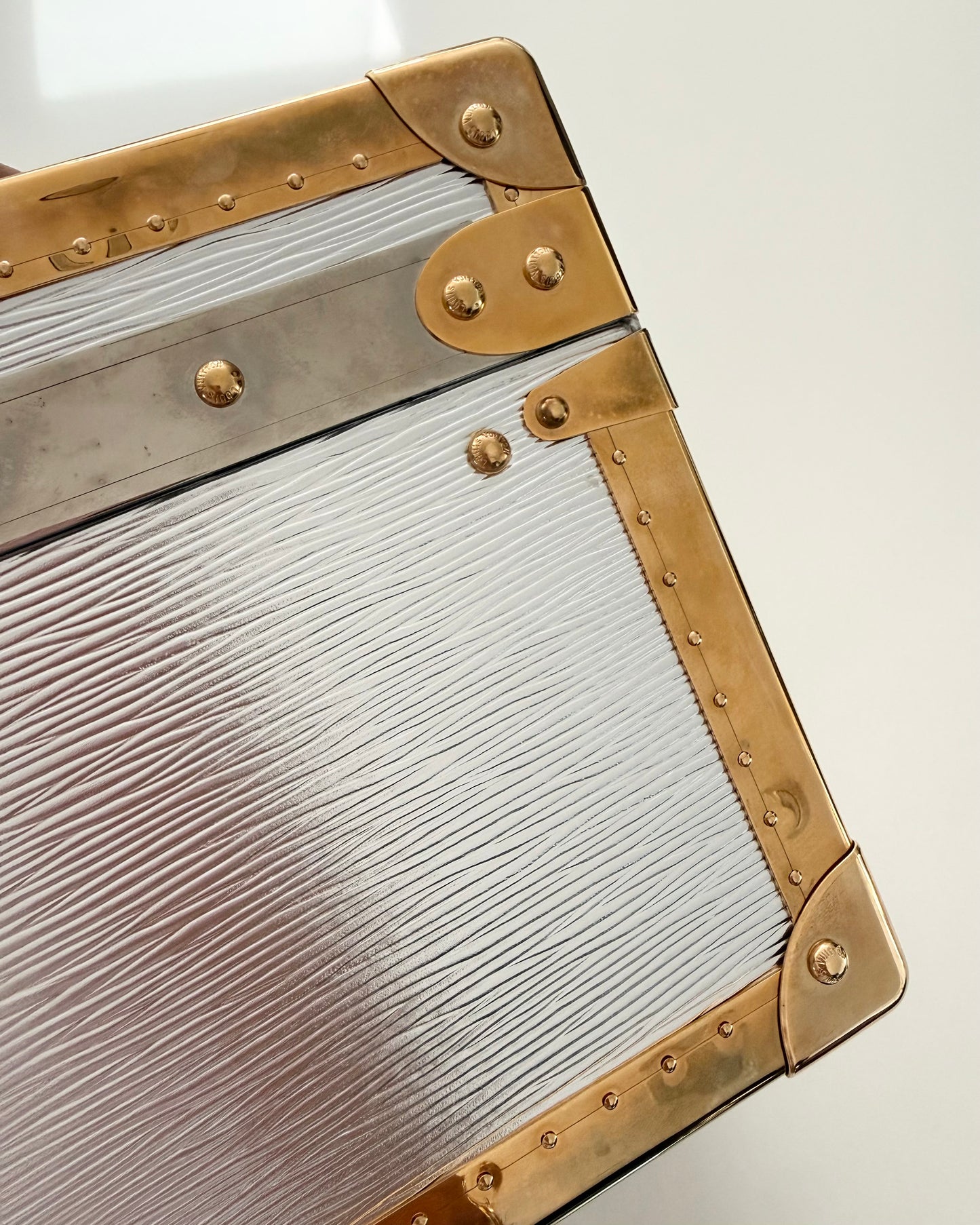 Louis Vuitton RARE Silver Epi Leather and Gold Metal Boite Promenade Case from Fall 2025 Runway
