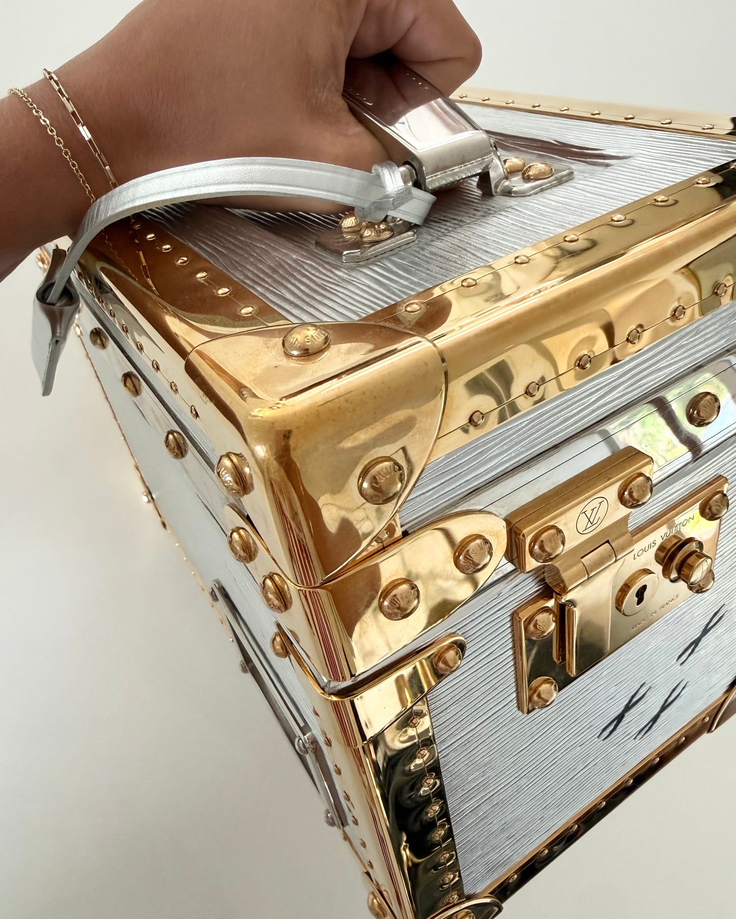Louis Vuitton RARE Silver Epi Leather and Gold Metal Boite Promenade Case from Fall 2025 Runway