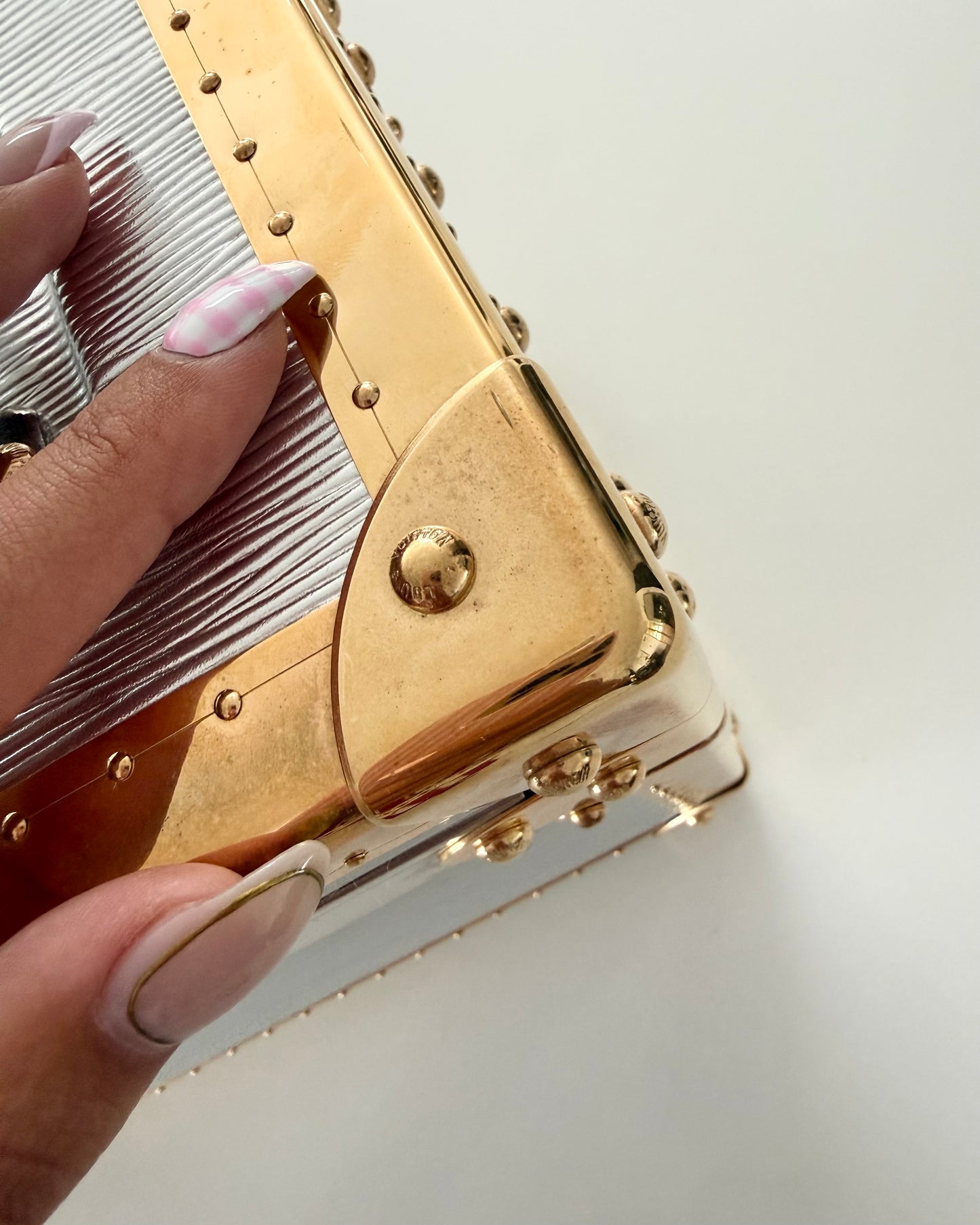 Louis Vuitton RARE Silver Epi Leather and Gold Metal Boite Promenade Case from Fall 2025 Runway