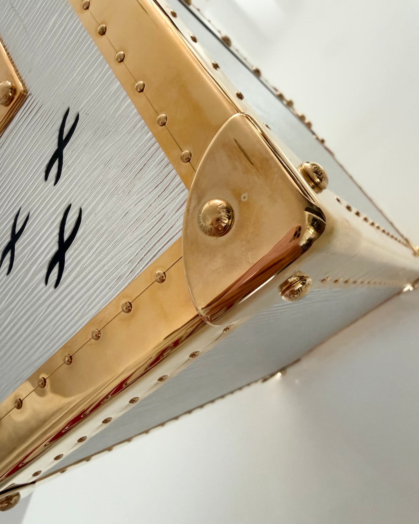 Louis Vuitton RARE Silver Epi Leather and Gold Metal Boite Promenade Case from Fall 2025 Runway