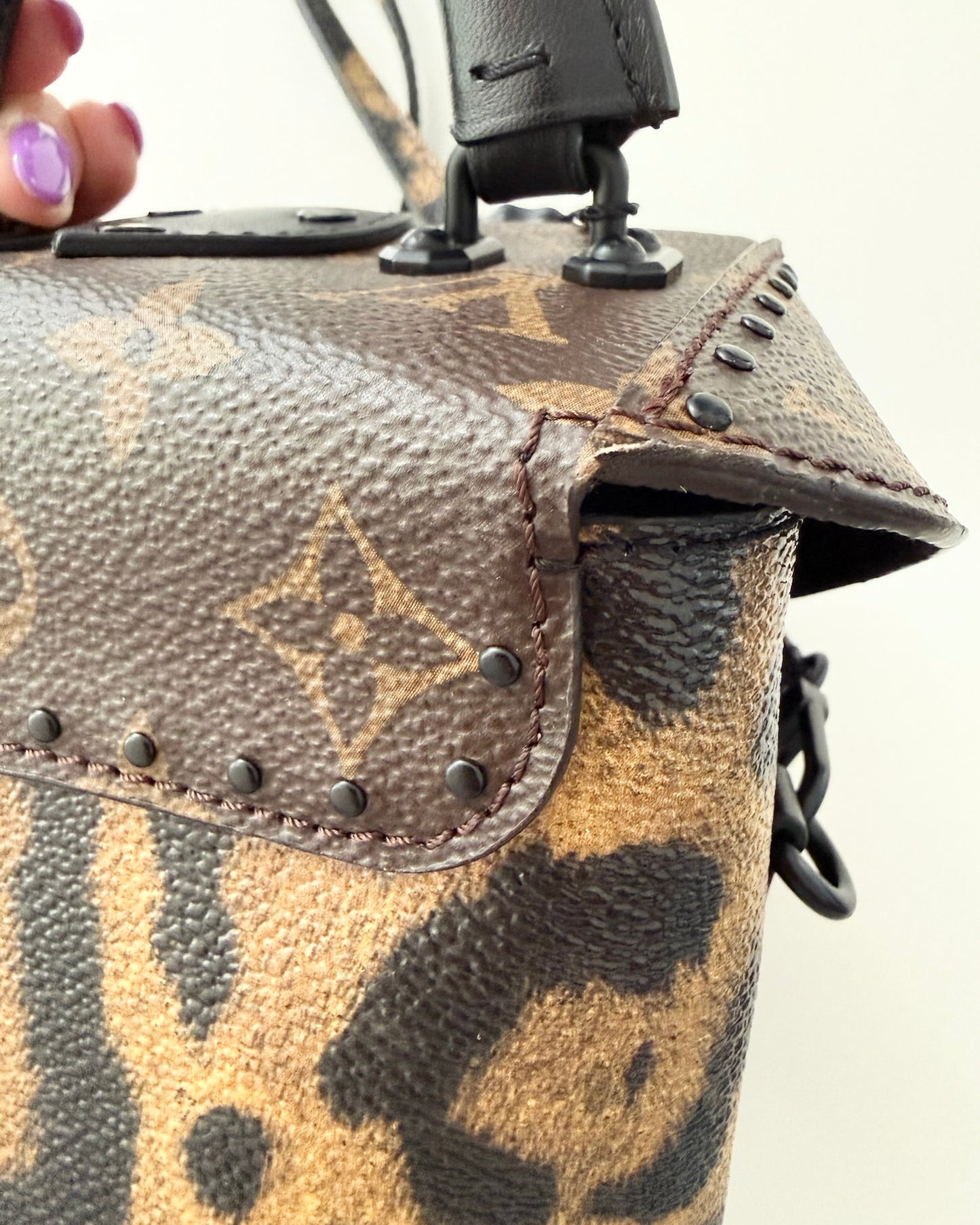 Louis Vuitton Monogram and Leopard Camera Box from 2016