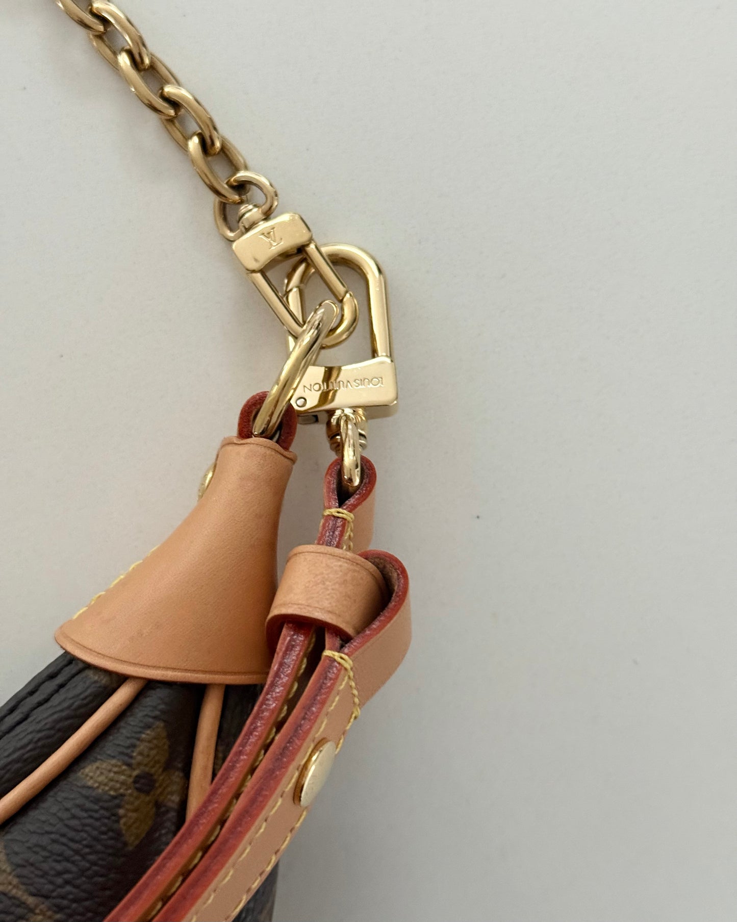 Louis Vuitton Monogram Loop Bag