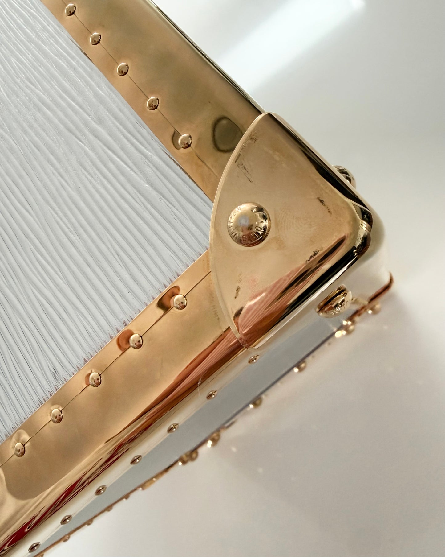 Louis Vuitton RARE Silver Epi Leather and Gold Metal Boite Promenade Case from Fall 2025 Runway