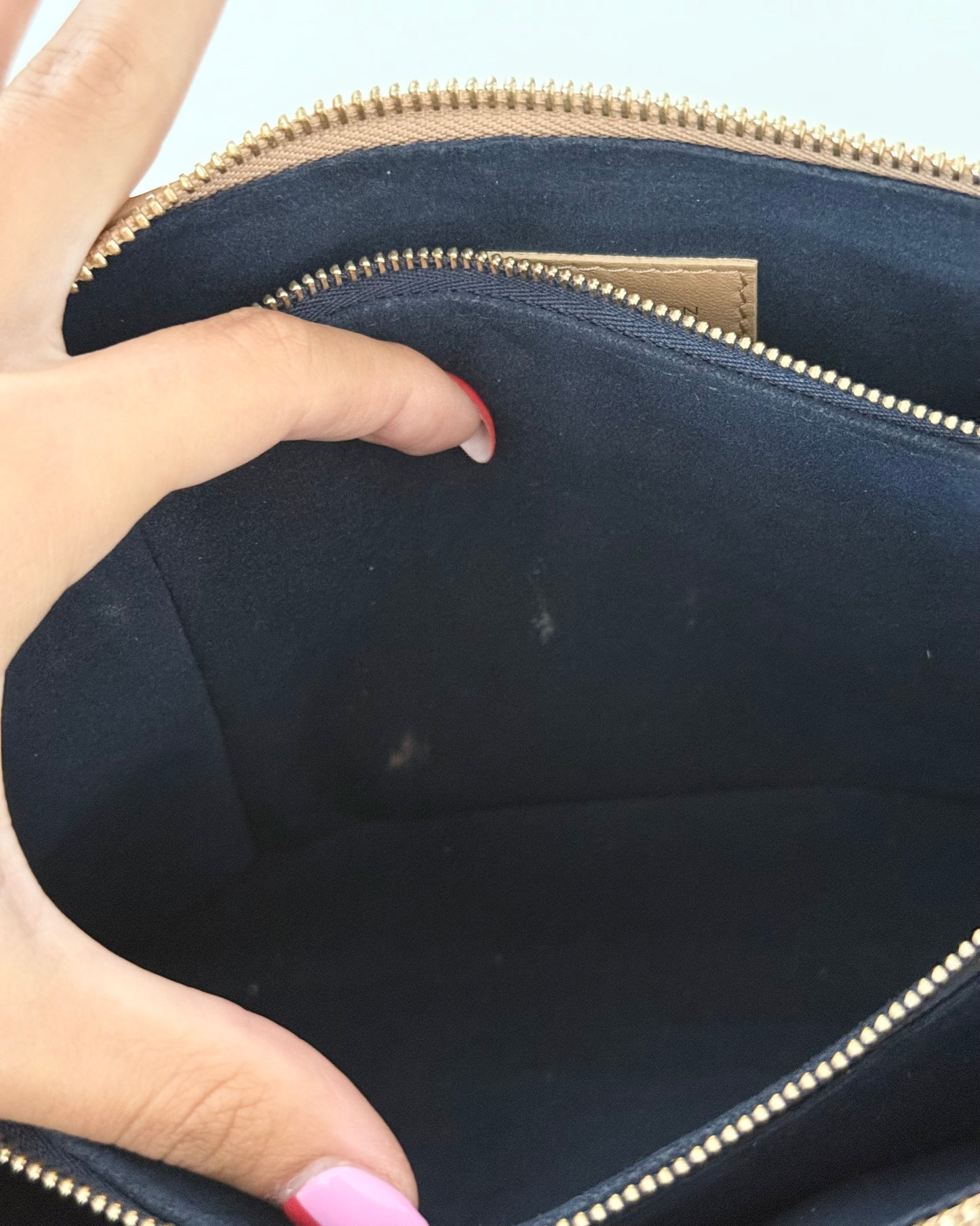 Louis Vuitton Carmel Coussin PM