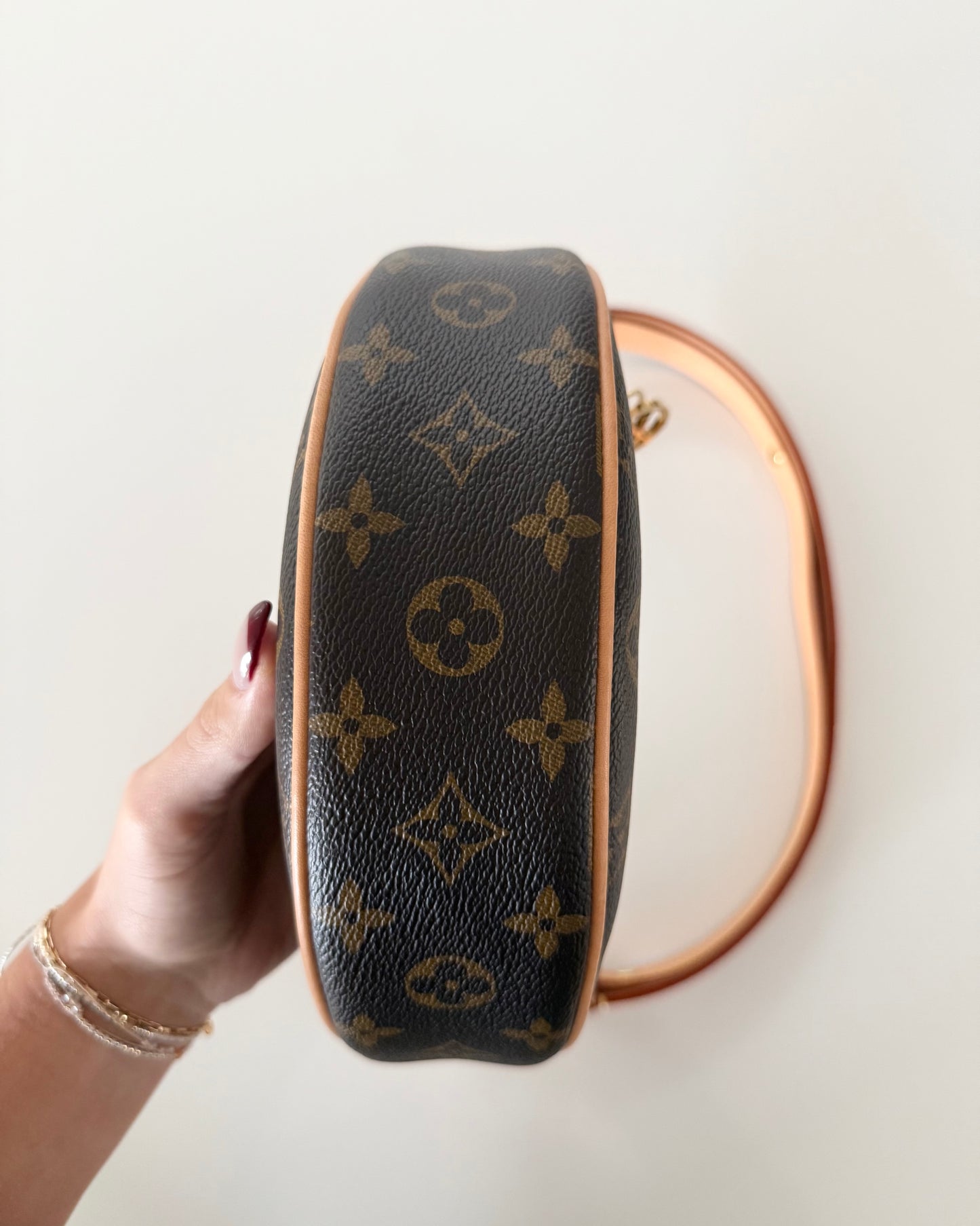 Louis Vuitton Monogram Loop Bag