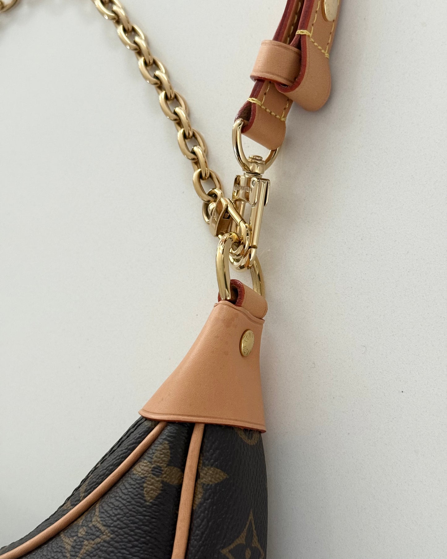 Louis Vuitton Monogram Loop Bag