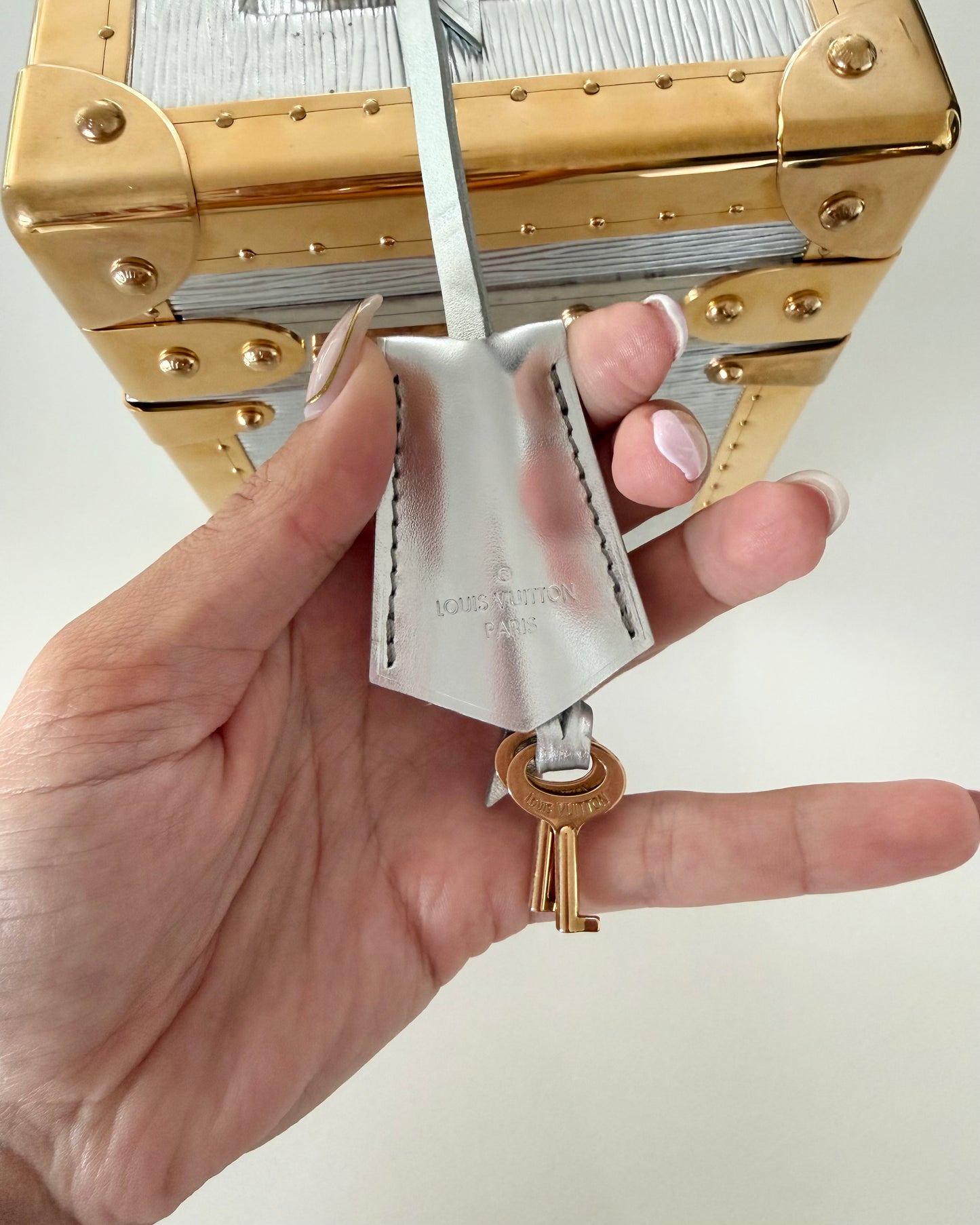 Louis Vuitton RARE Silver Epi Leather and Gold Metal Boite Promenade Case from Fall 2025 Runway