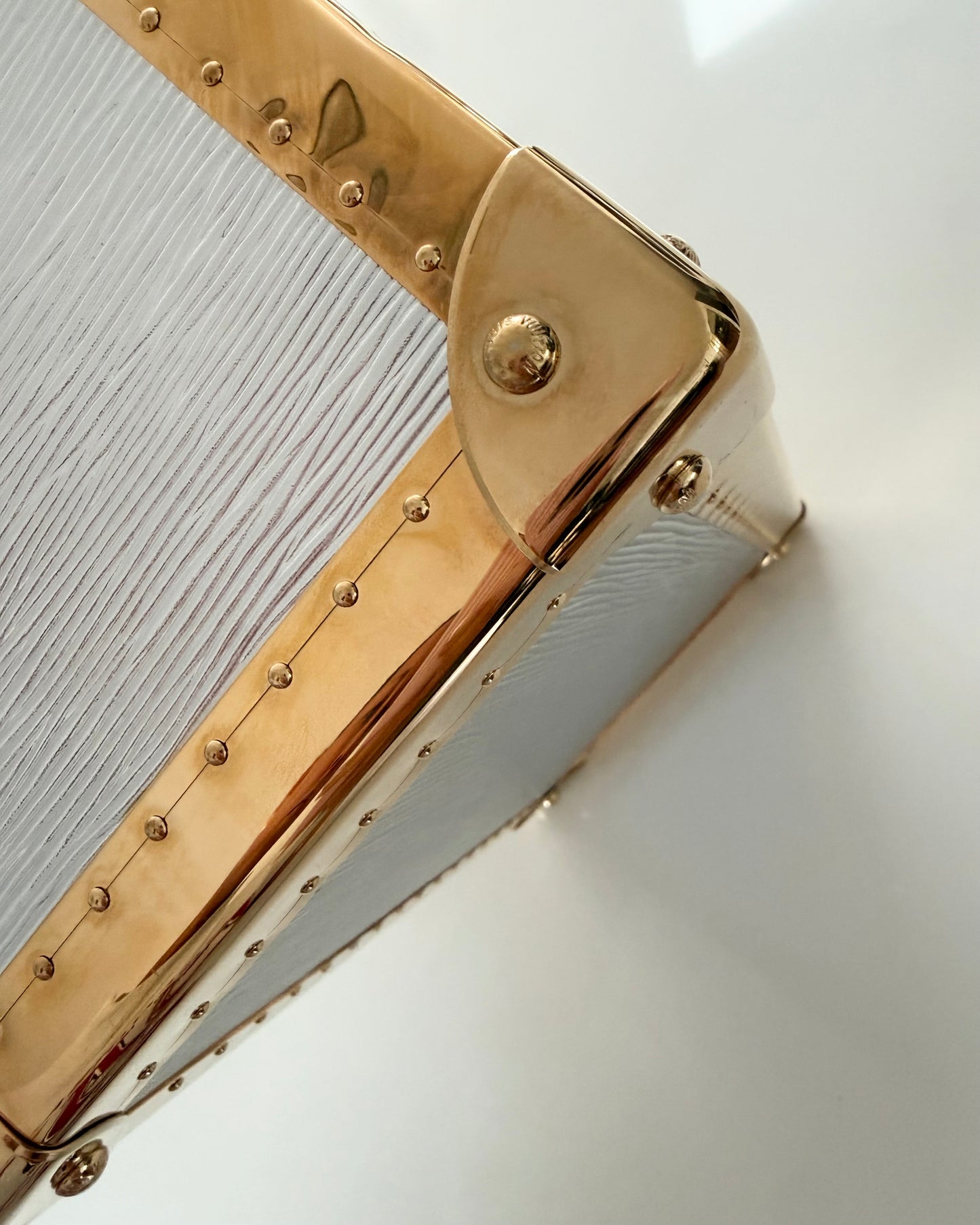 Louis Vuitton RARE Silver Epi Leather and Gold Metal Boite Promenade Case from Fall 2025 Runway