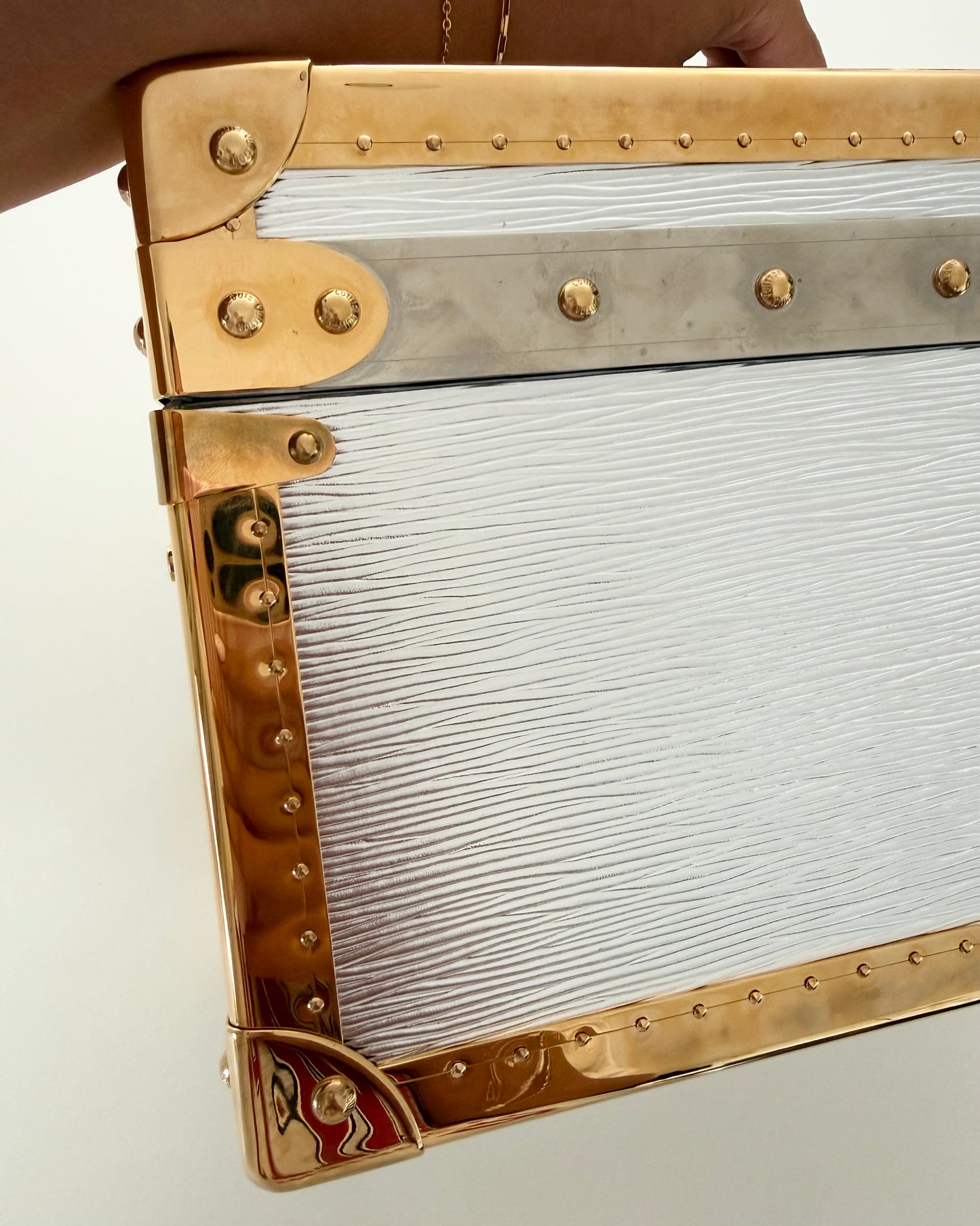 Louis Vuitton RARE Silver Epi Leather and Gold Metal Boite Promenade Case from Fall 2025 Runway