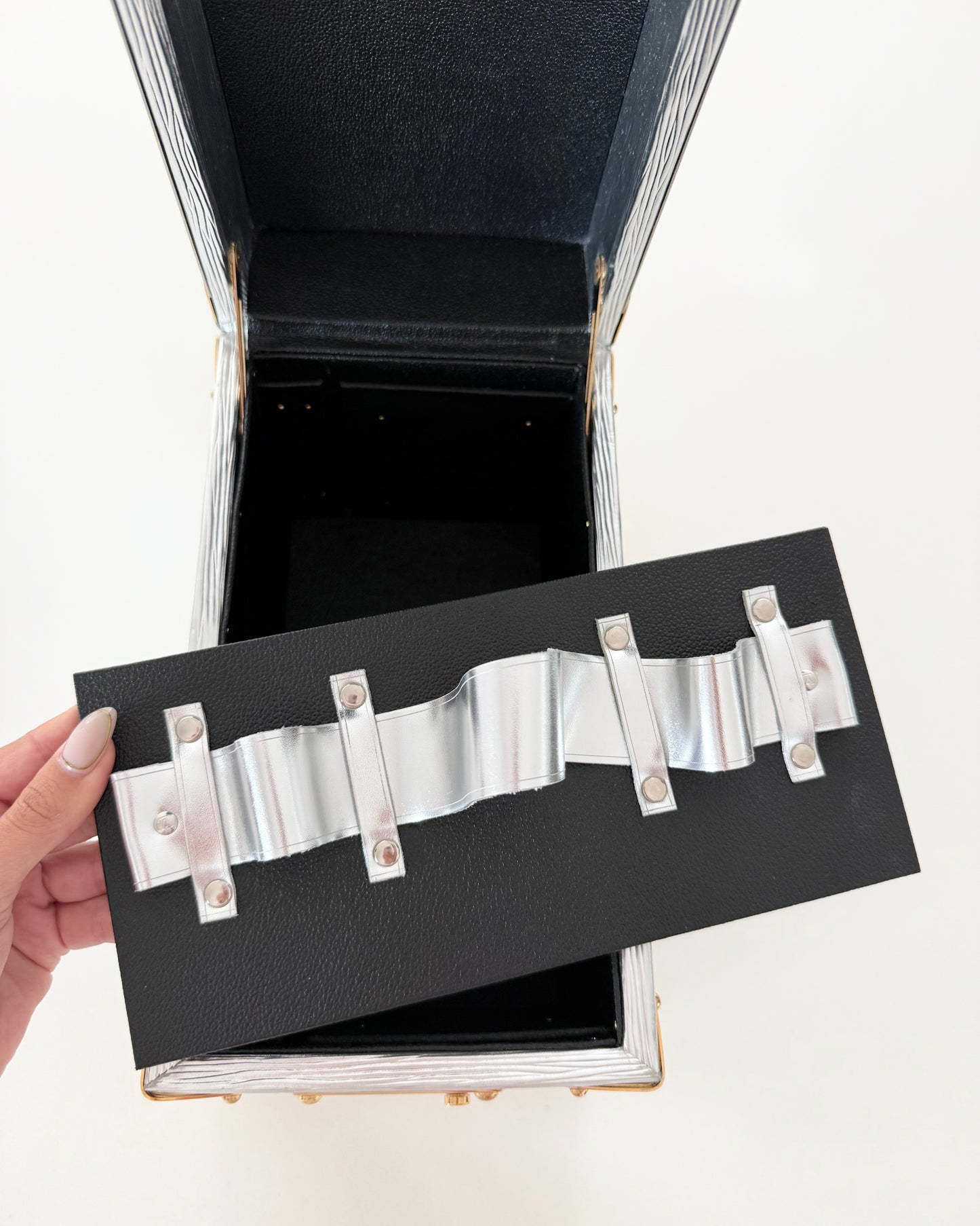 Louis Vuitton RARE Silver Epi Leather and Gold Metal Boite Promenade Case from Fall 2025 Runway