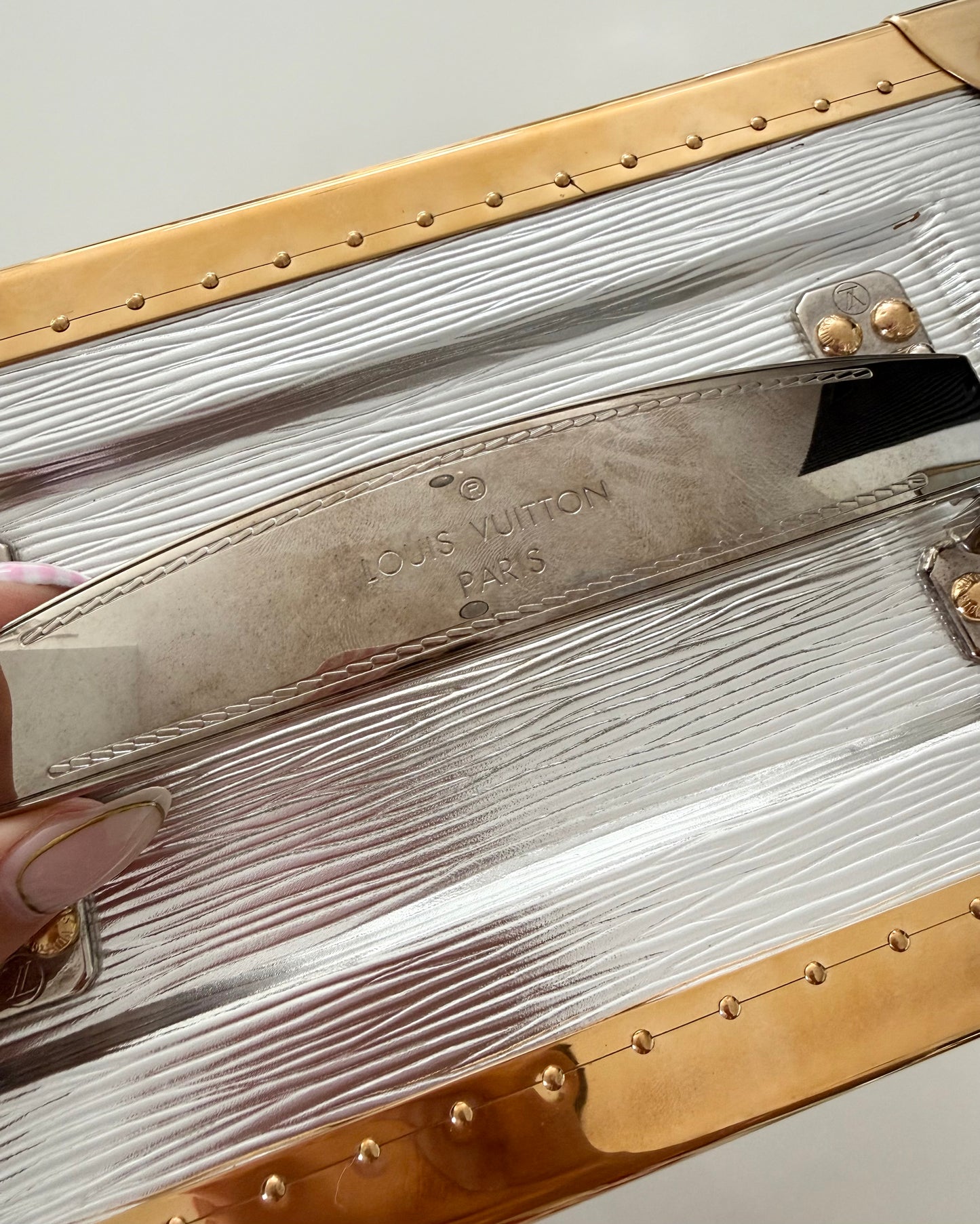 Louis Vuitton RARE Silver Epi Leather and Gold Metal Boite Promenade Case from Fall 2025 Runway