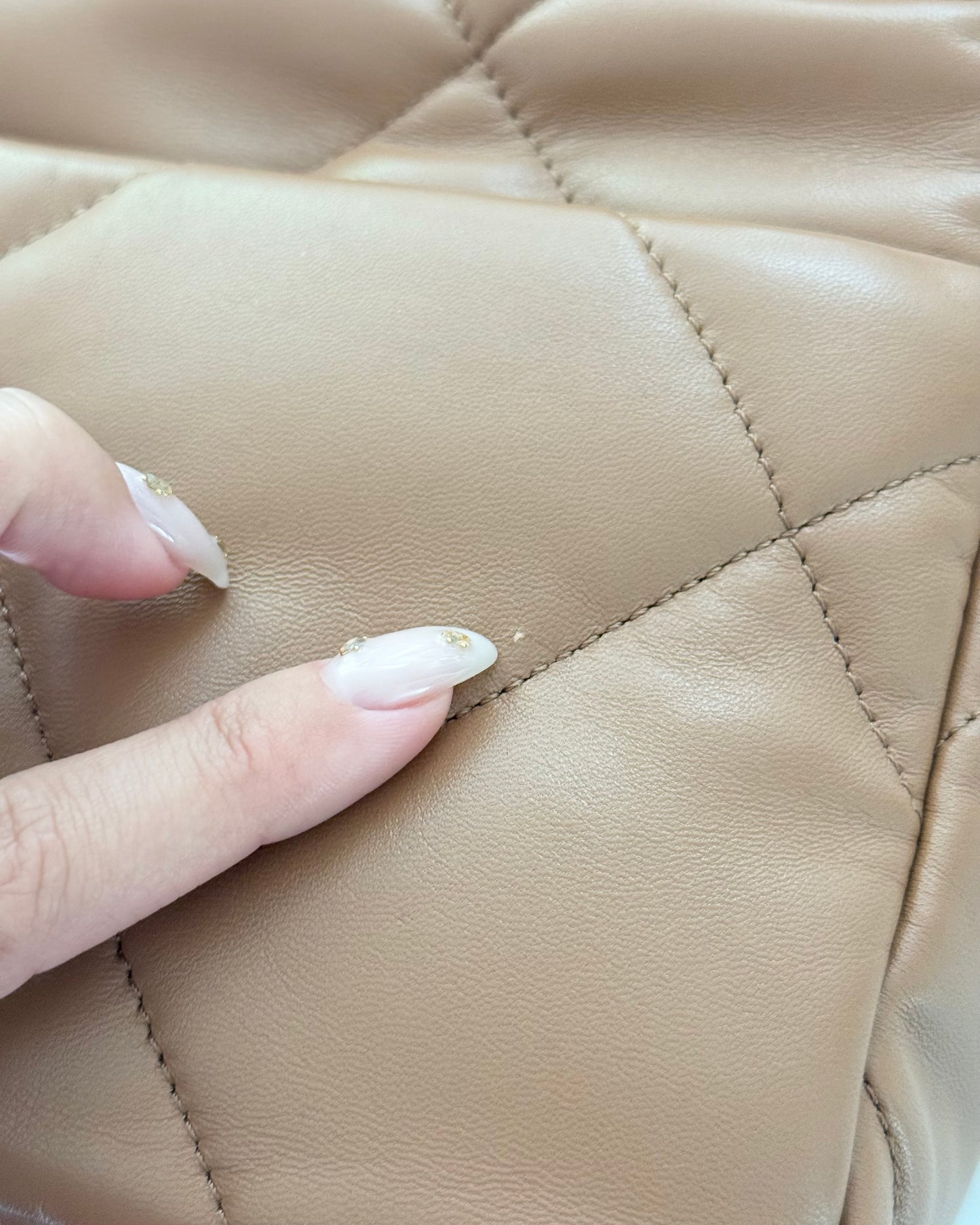 Chanel Carmel Leather Small 19 from 2022