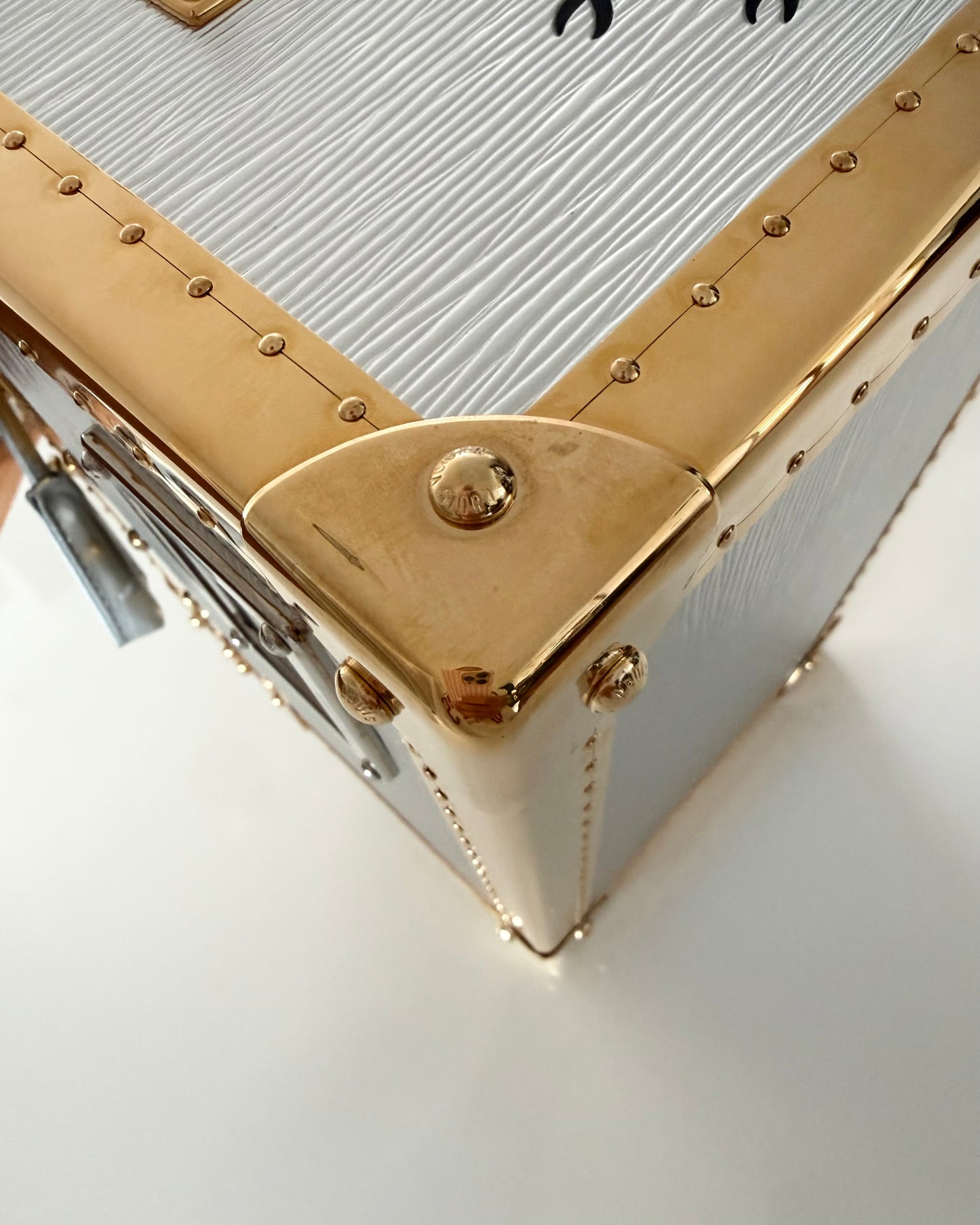 Louis Vuitton RARE Silver Epi Leather and Gold Metal Boite Promenade Case from Fall 2025 Runway