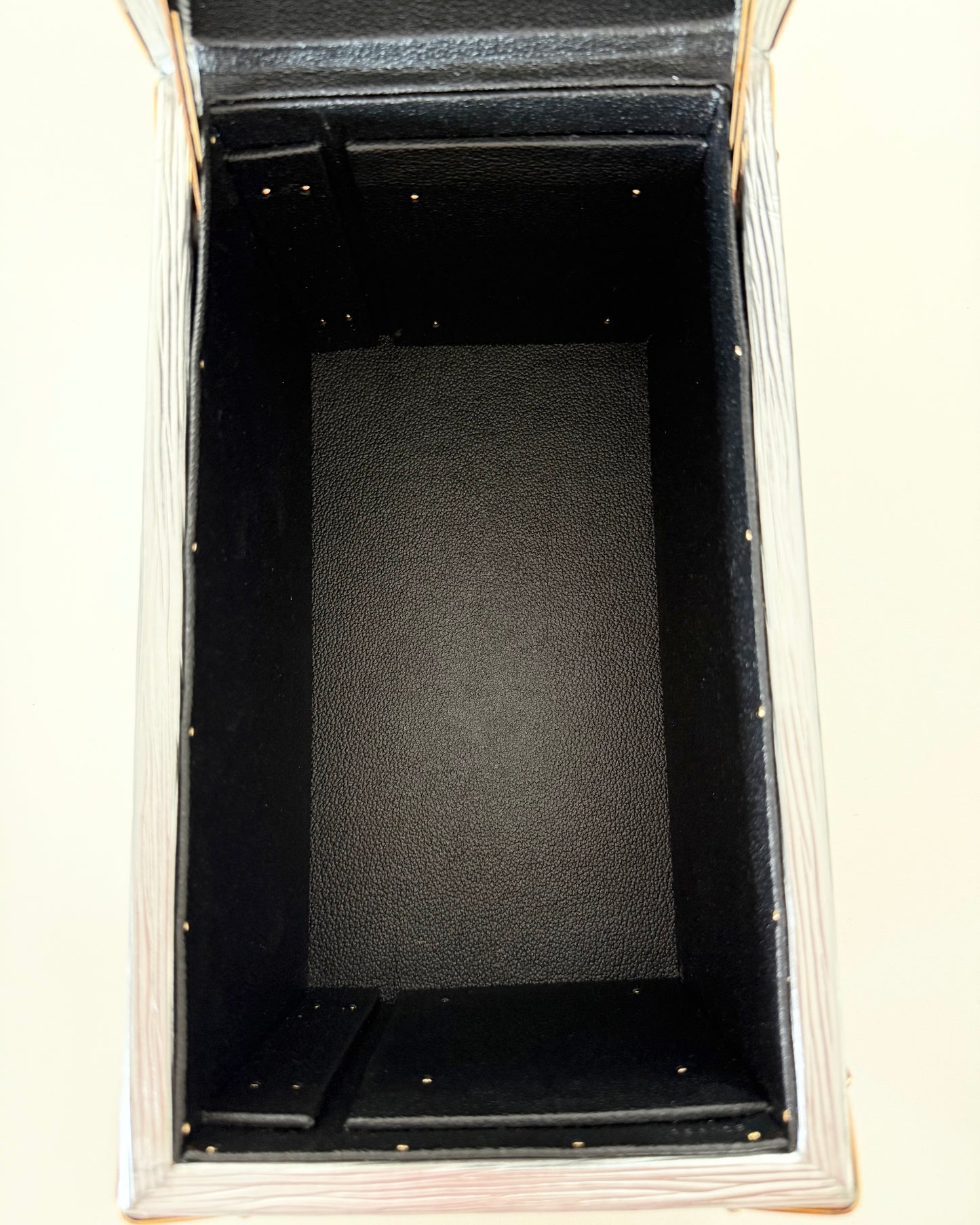 Louis Vuitton RARE Silver Epi Leather and Gold Metal Boite Promenade Case from Fall 2025 Runway