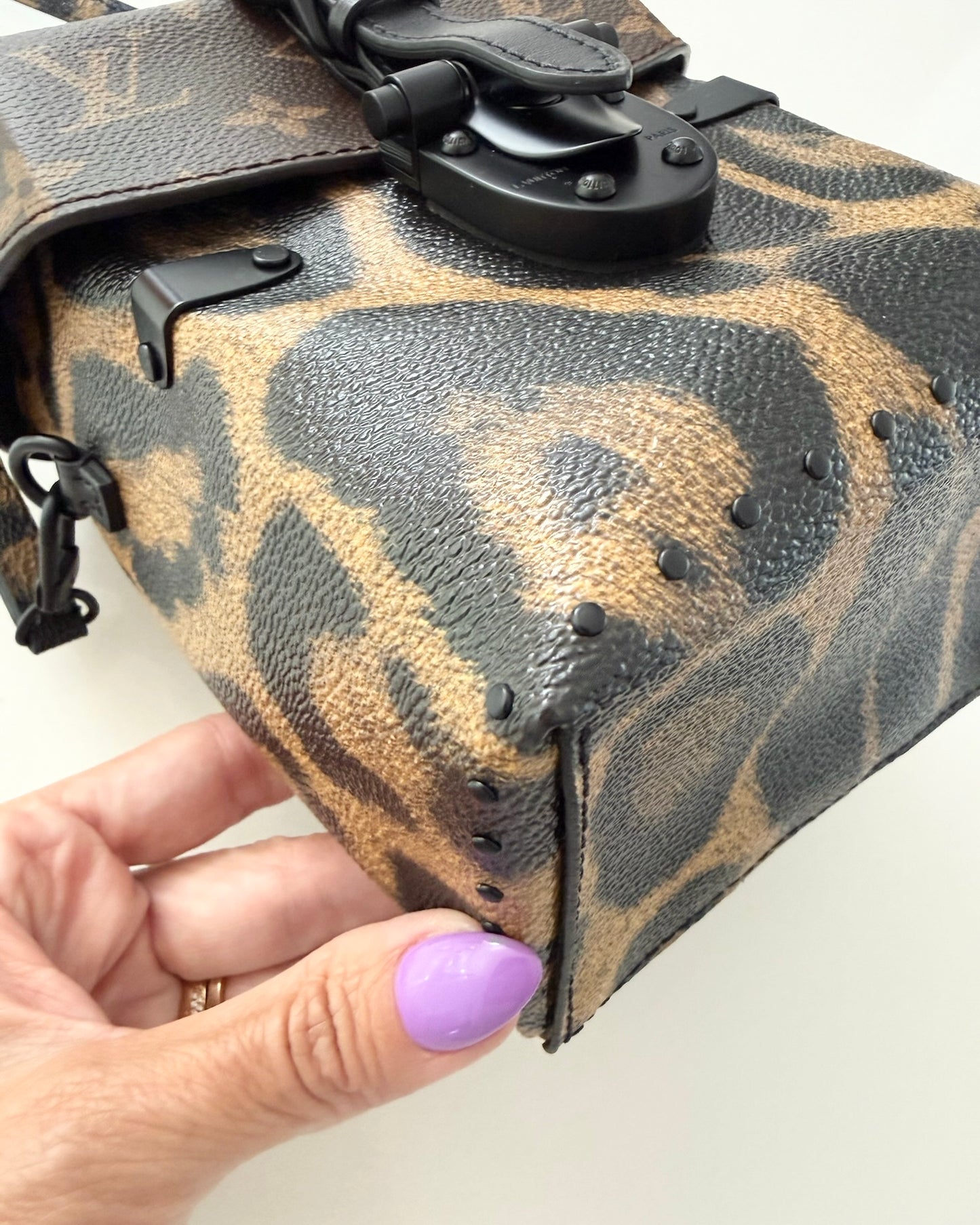 Louis Vuitton Monogram and Leopard Camera Box from 2016