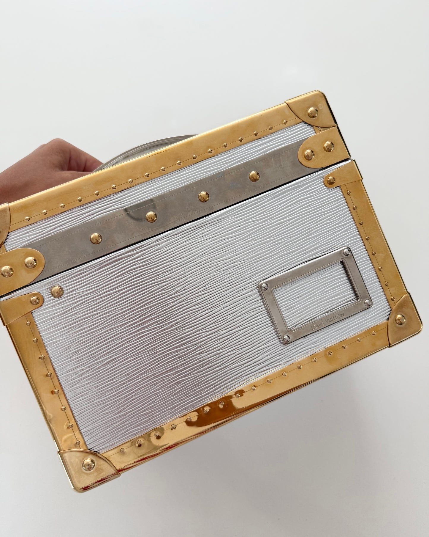 Louis Vuitton RARE Silver Epi Leather and Gold Metal Boite Promenade Case from Fall 2025 Runway